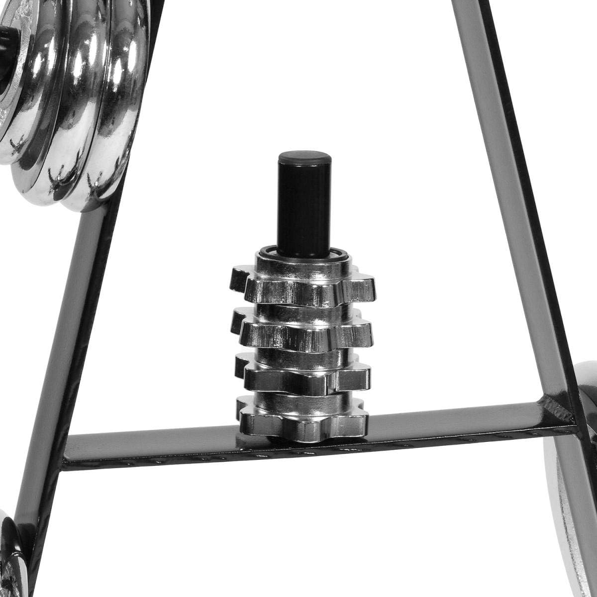 Hantelscheibenständer mit 7 Scheibenaufnahmen