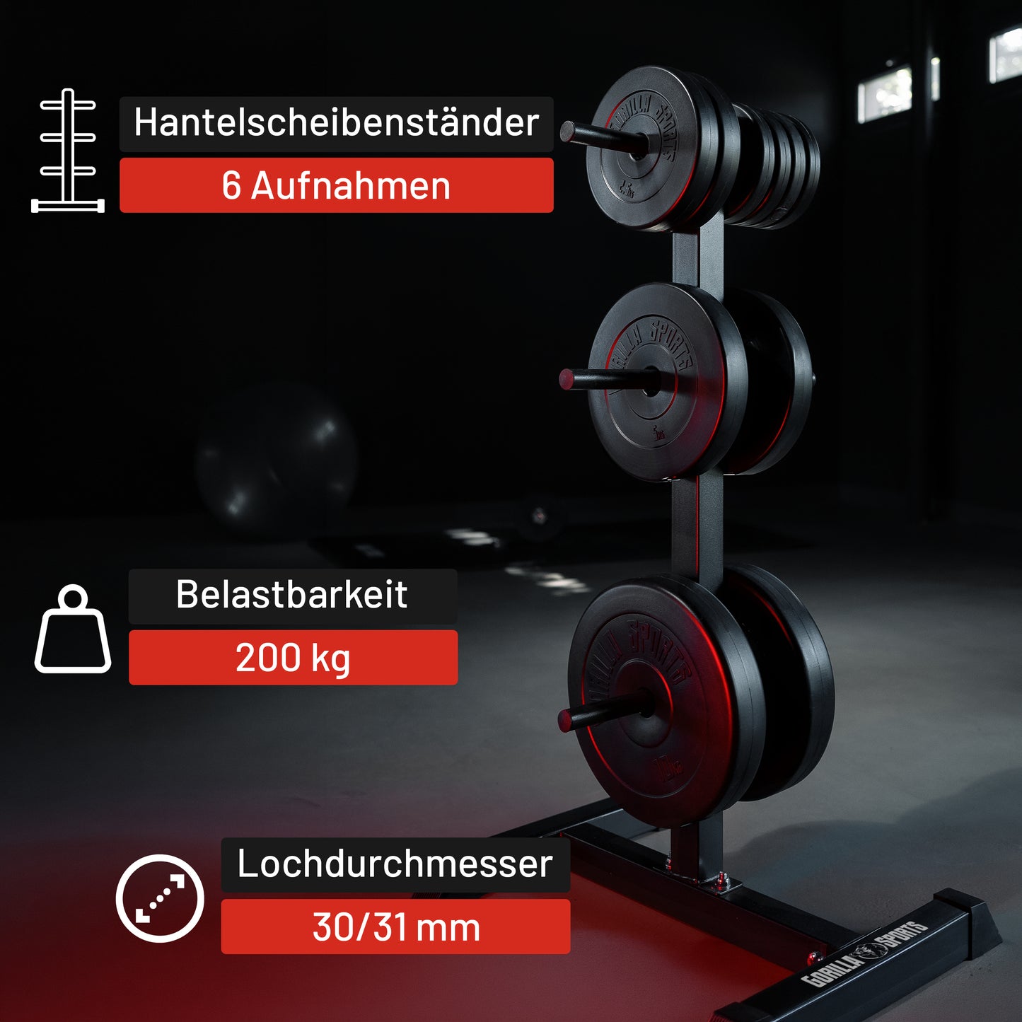 Hantelscheibenständer mit 3 Stangen - 6 Scheibenaufnahmen