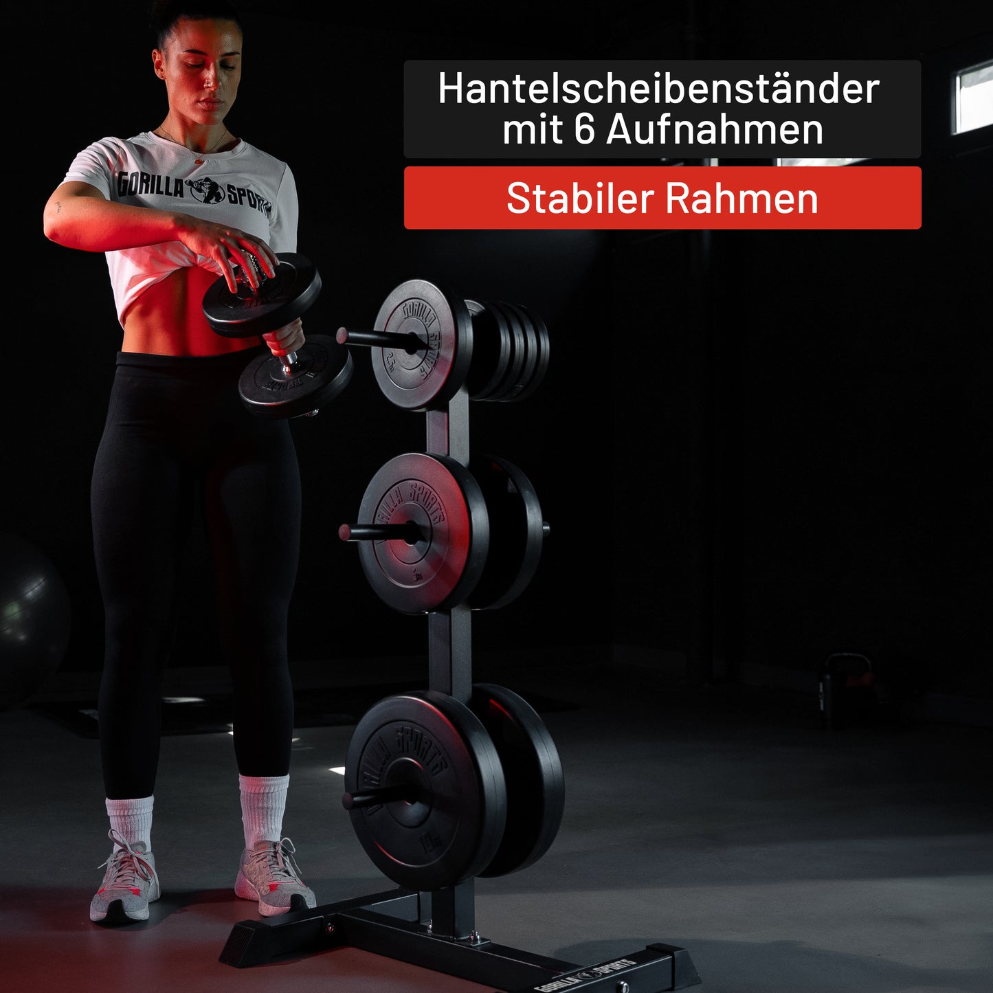 Hantelscheibenständer mit 3 Stangen - 6 Scheibenaufnahmen
