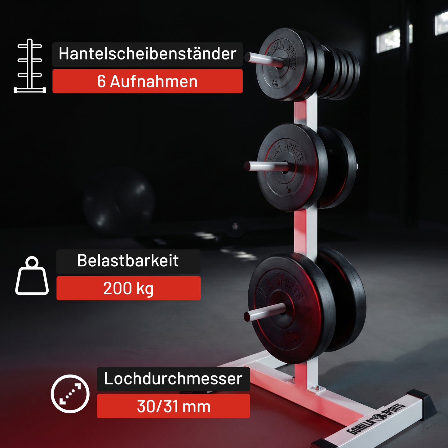 Hantelscheibenständer mit 3 Stangen - 6 Scheibenaufnahmen