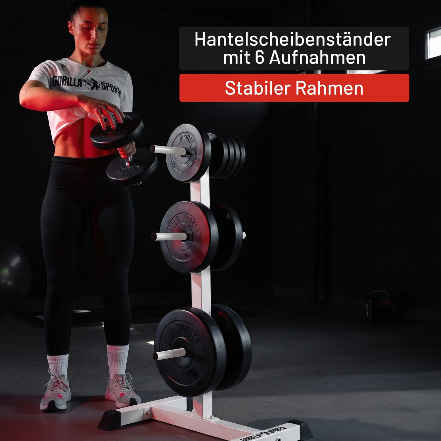 Hantelscheibenständer mit 3 Stangen - 6 Scheibenaufnahmen
