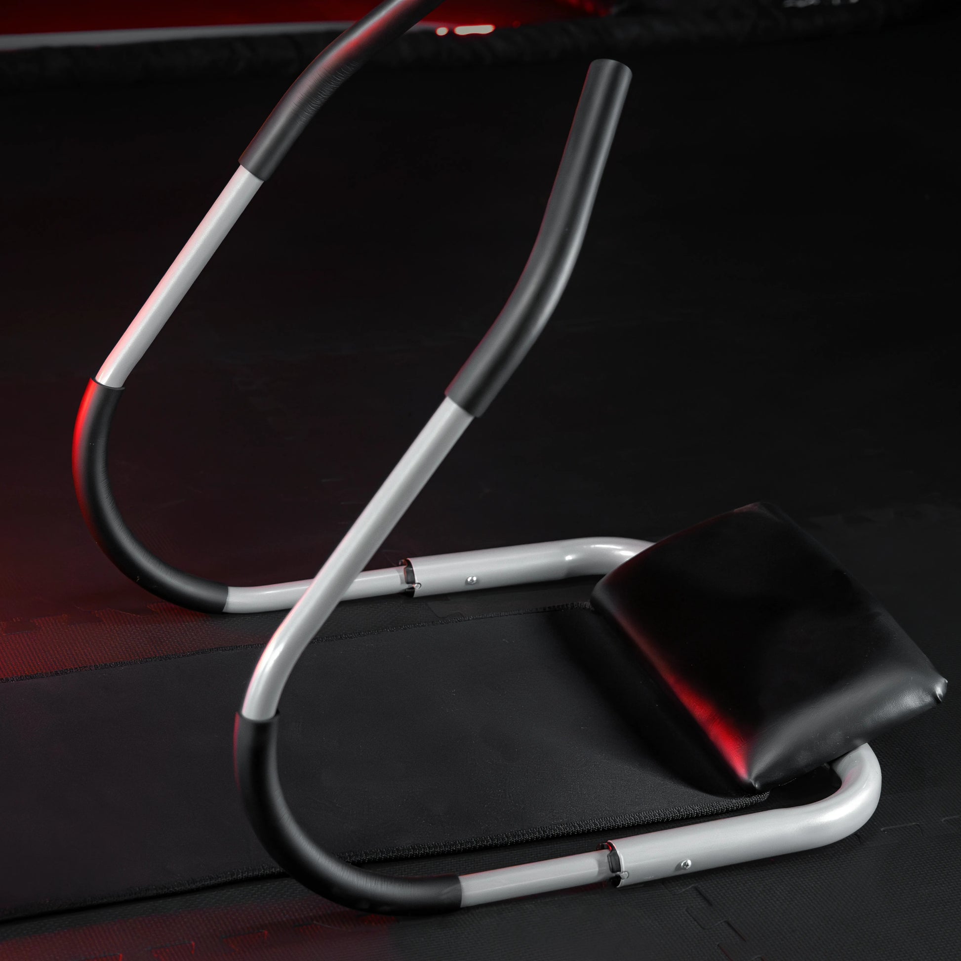 Ab Roller mit Trainingsmatte - Gorilla Sports DE