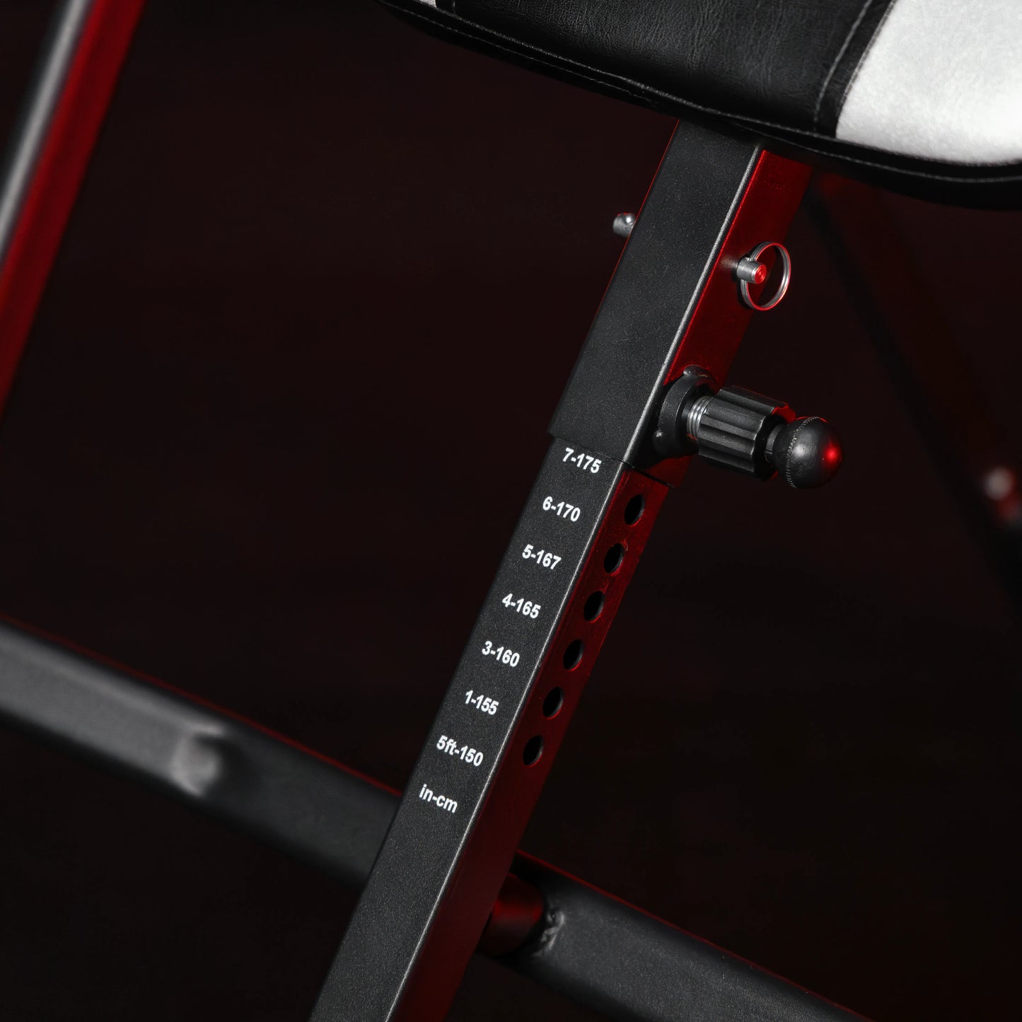 Schwerkrafttrainer Schwarz/Silber/Rot - Gorilla Sports DE