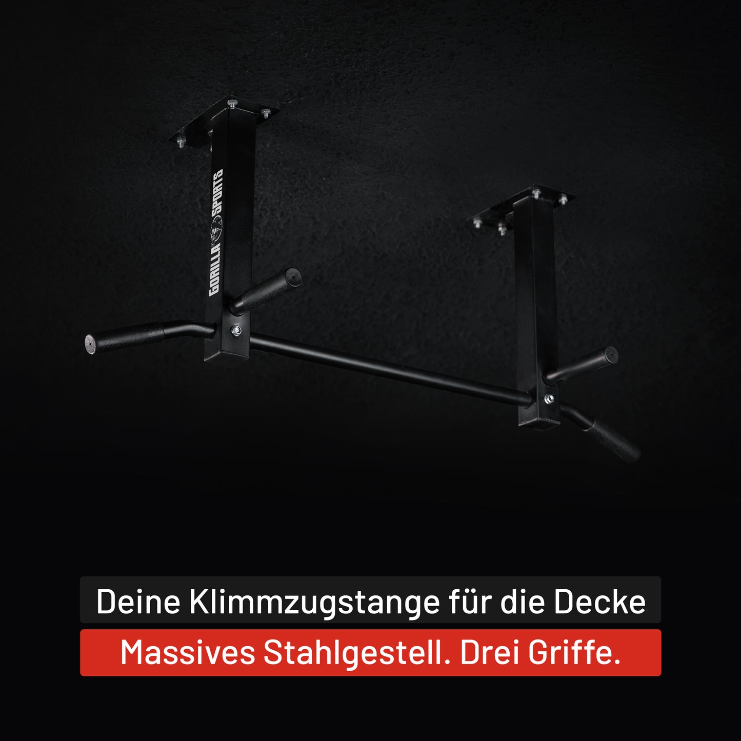 Klimmzugstange für die Decke in Schwarz und Weiß