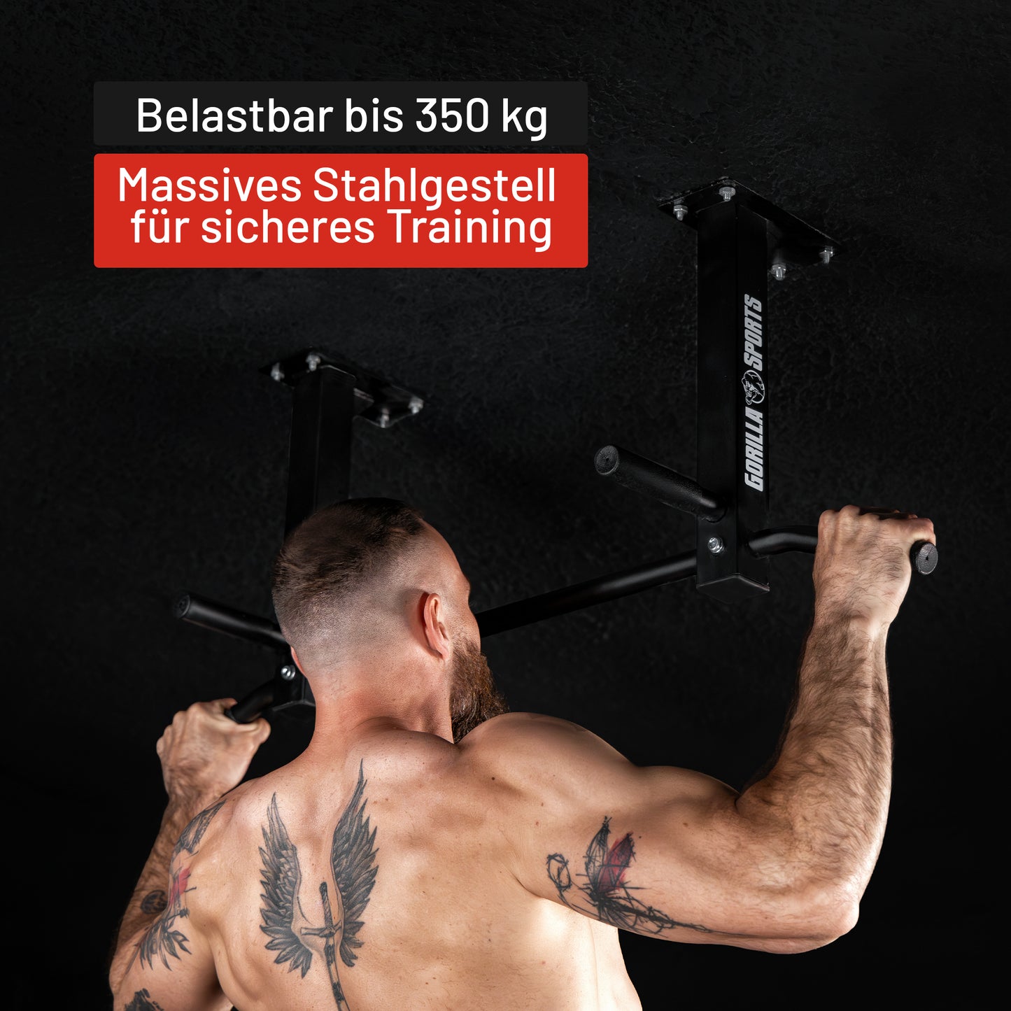 Klimmzugstange für die Decke in Schwarz und Weiß