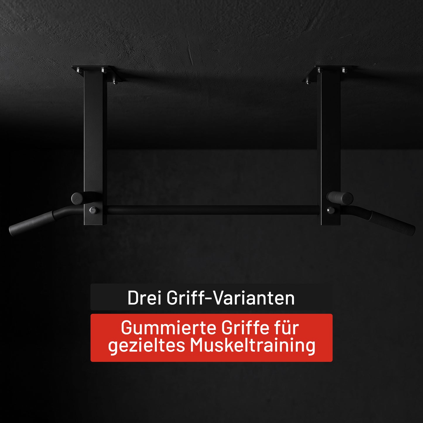 Klimmzugstange für die Decke in Schwarz und Weiß