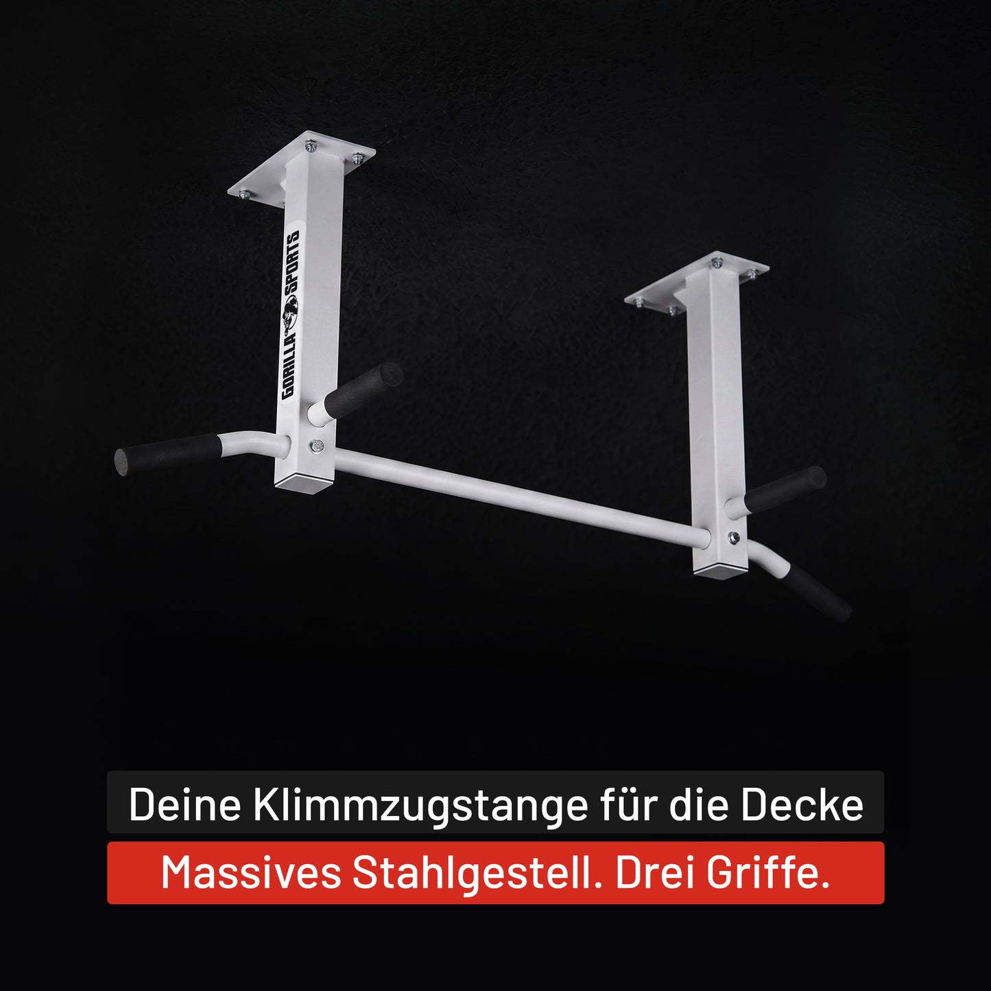 Klimmzugstange für die Decke in Schwarz und Weiß