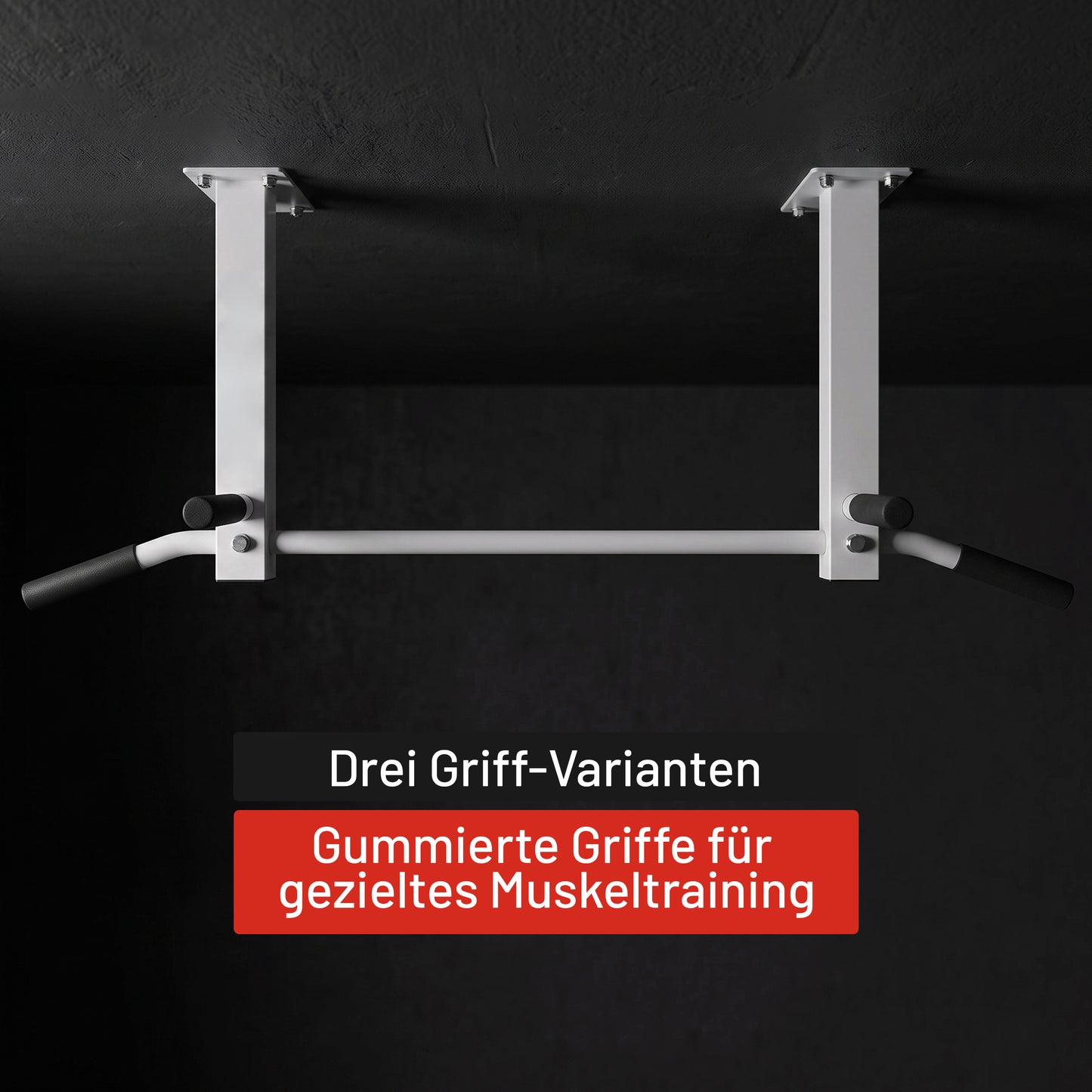 Klimmzugstange für die Decke in Schwarz und Weiß