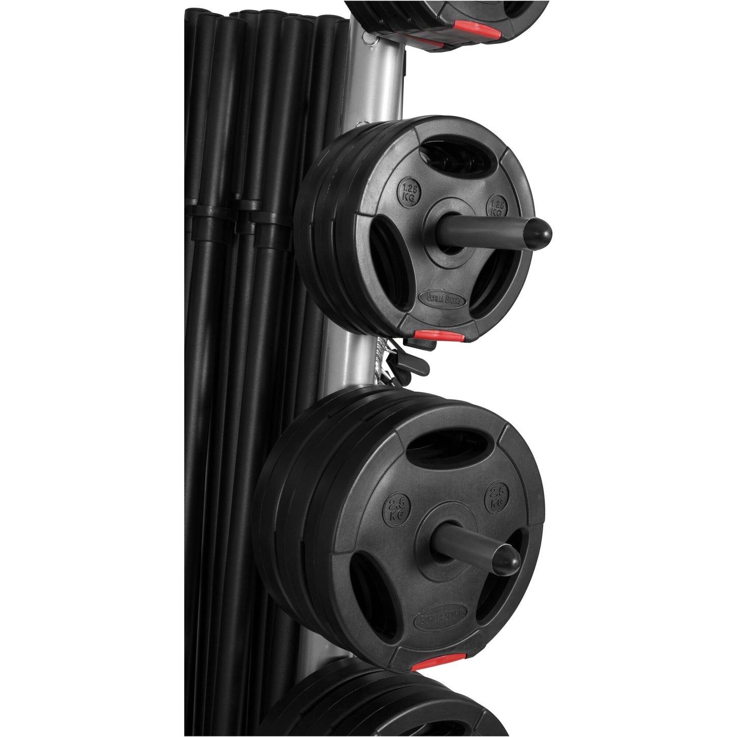 Hantelständer für Hantelstangen und Hantelscheiben 30 mm