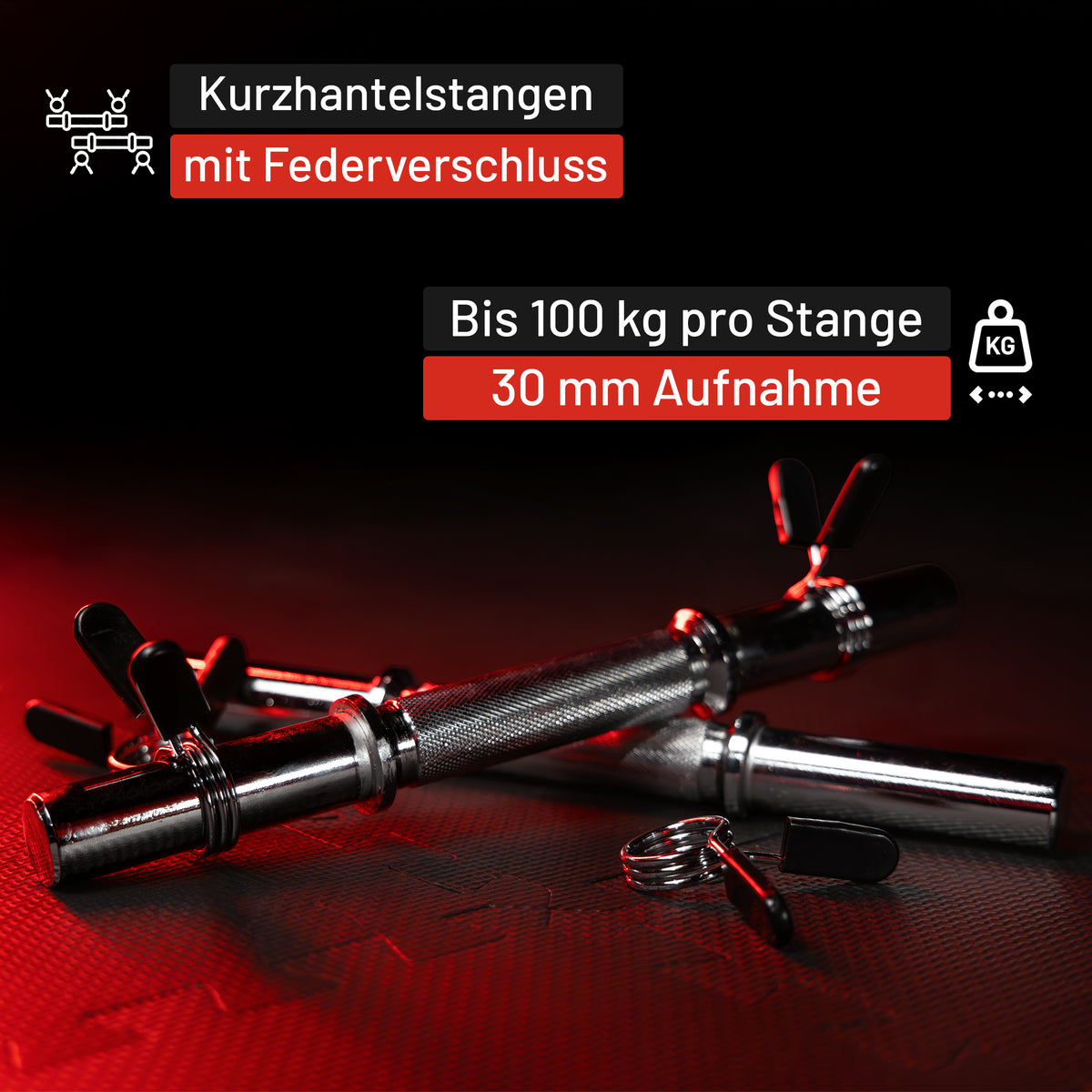 Kurzhantel 2er Set 35 cm mit Federverschlüssen