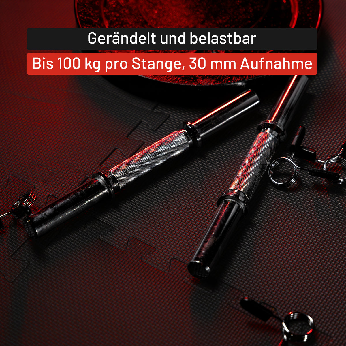Kurzhantel 2er Set 35 cm mit Federverschlüssen