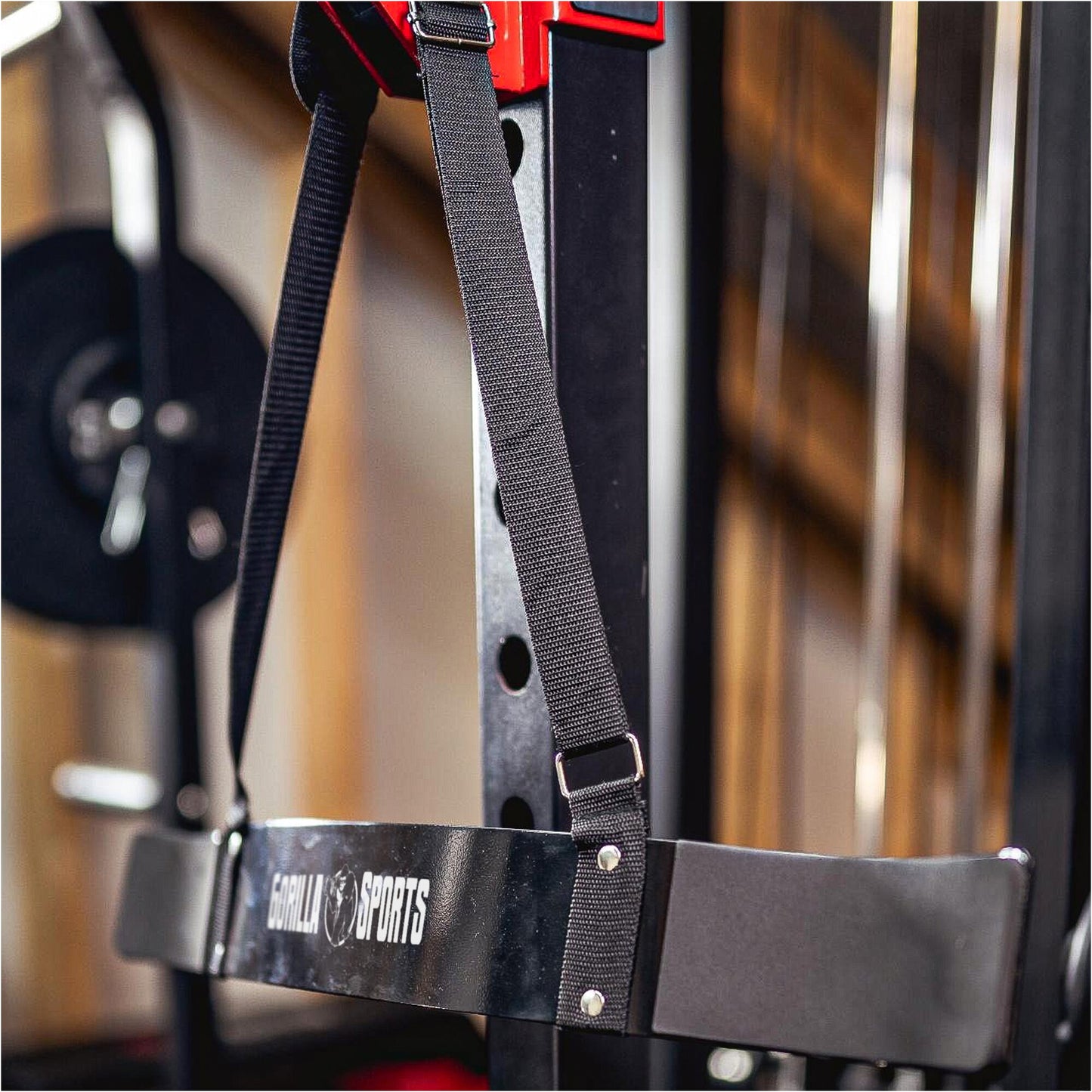 Arm Blaster Bizepstrainer