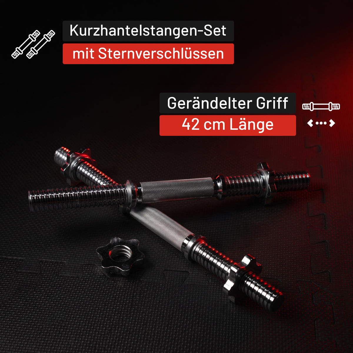 Kurzhantel 2er Set 42 cm mit Sternverschlüssen