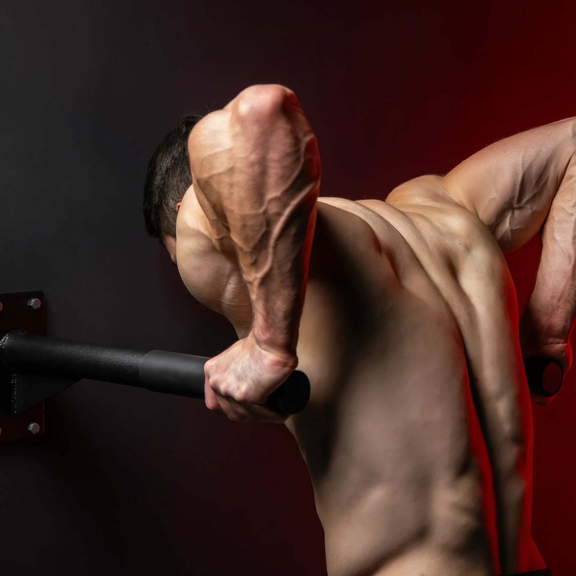 Dip Barren Wandmontage - Gorilla Sports DE