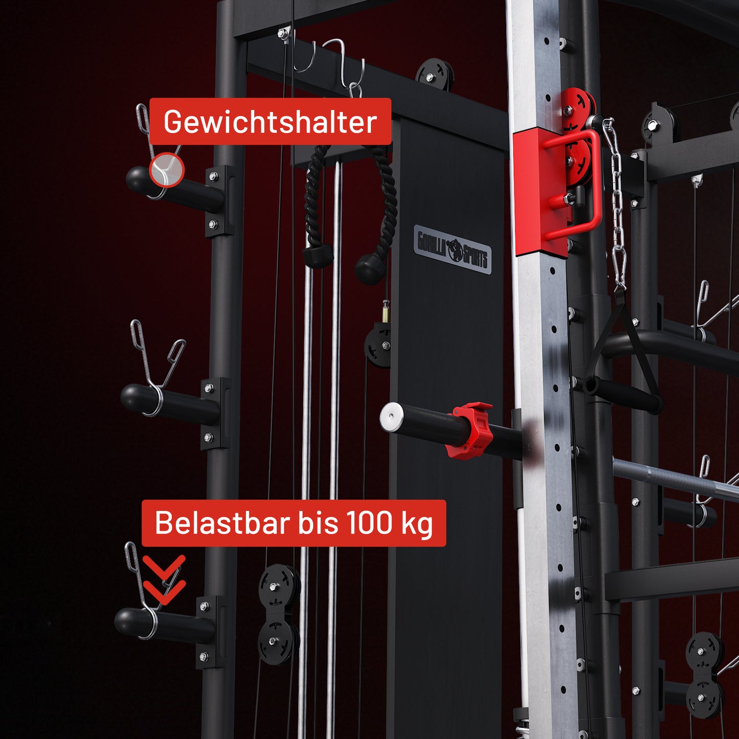 Smith Machine inkl, Klimmzugstange, Dipgriffen und Kabelzug