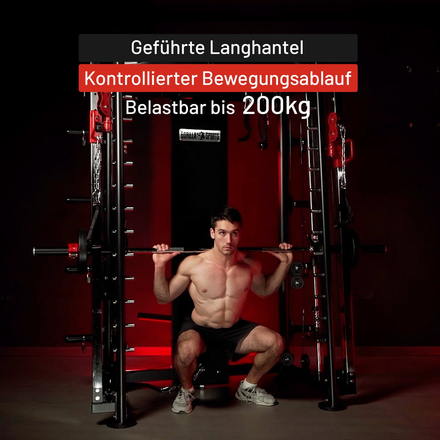Smith Machine inkl, Klimmzugstange, Dipgriffen und Kabelzug