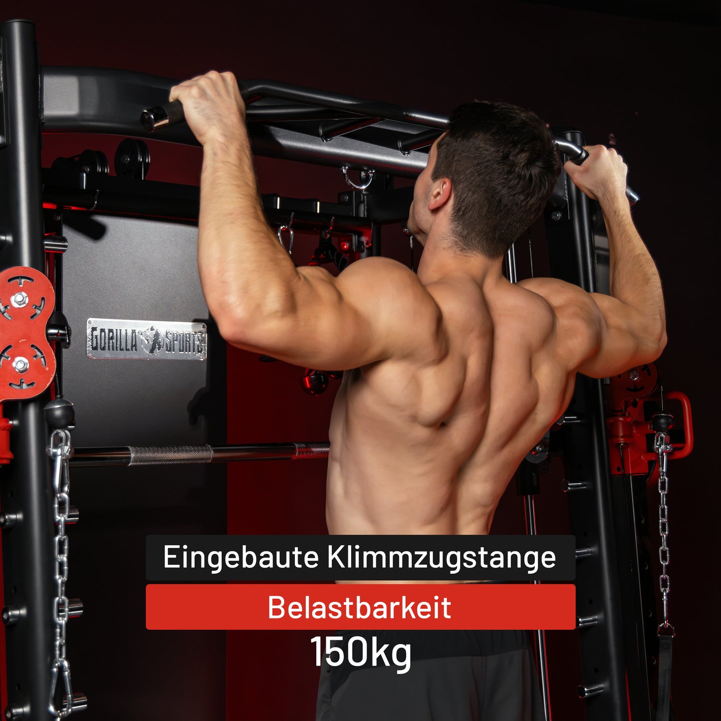 Smith Machine inkl, Klimmzugstange, Dipgriffen und Kabelzug