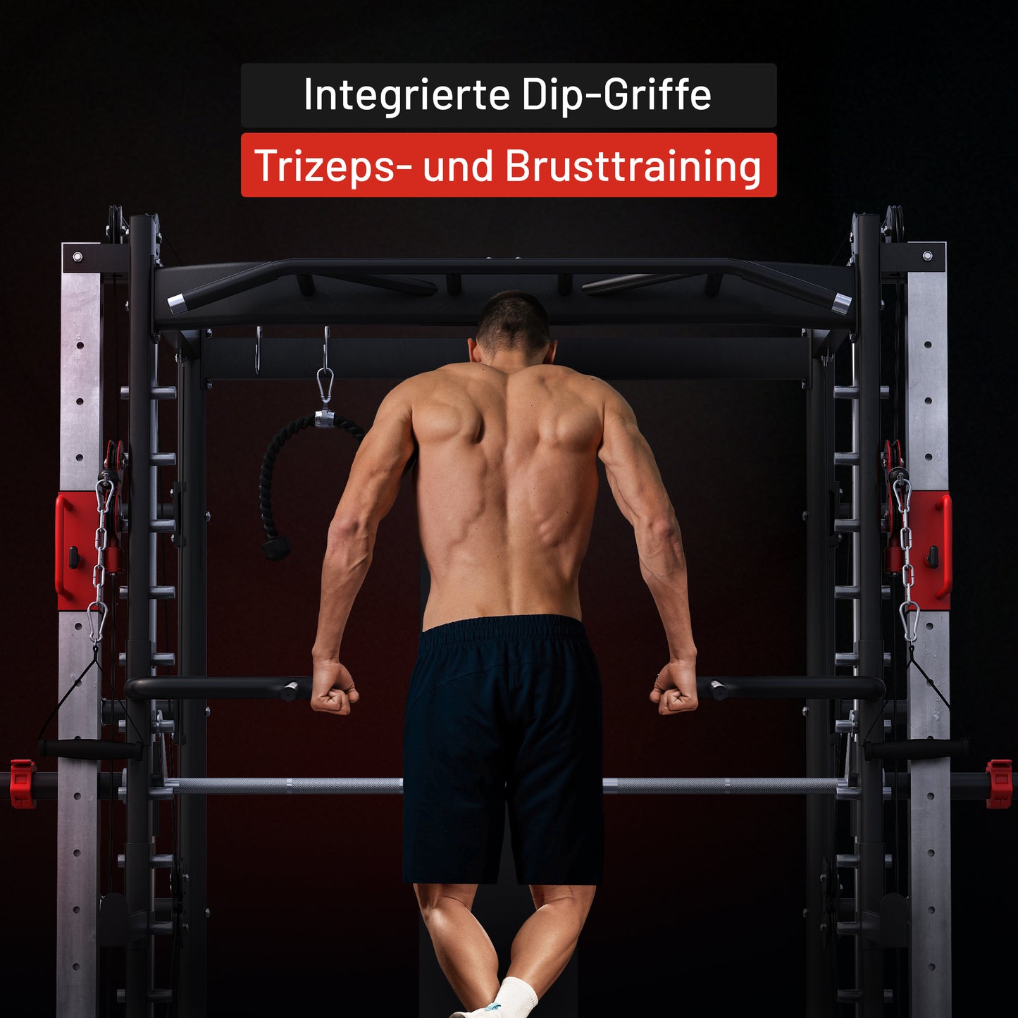 Smith Machine inkl, Klimmzugstange, Dipgriffen und Kabelzug