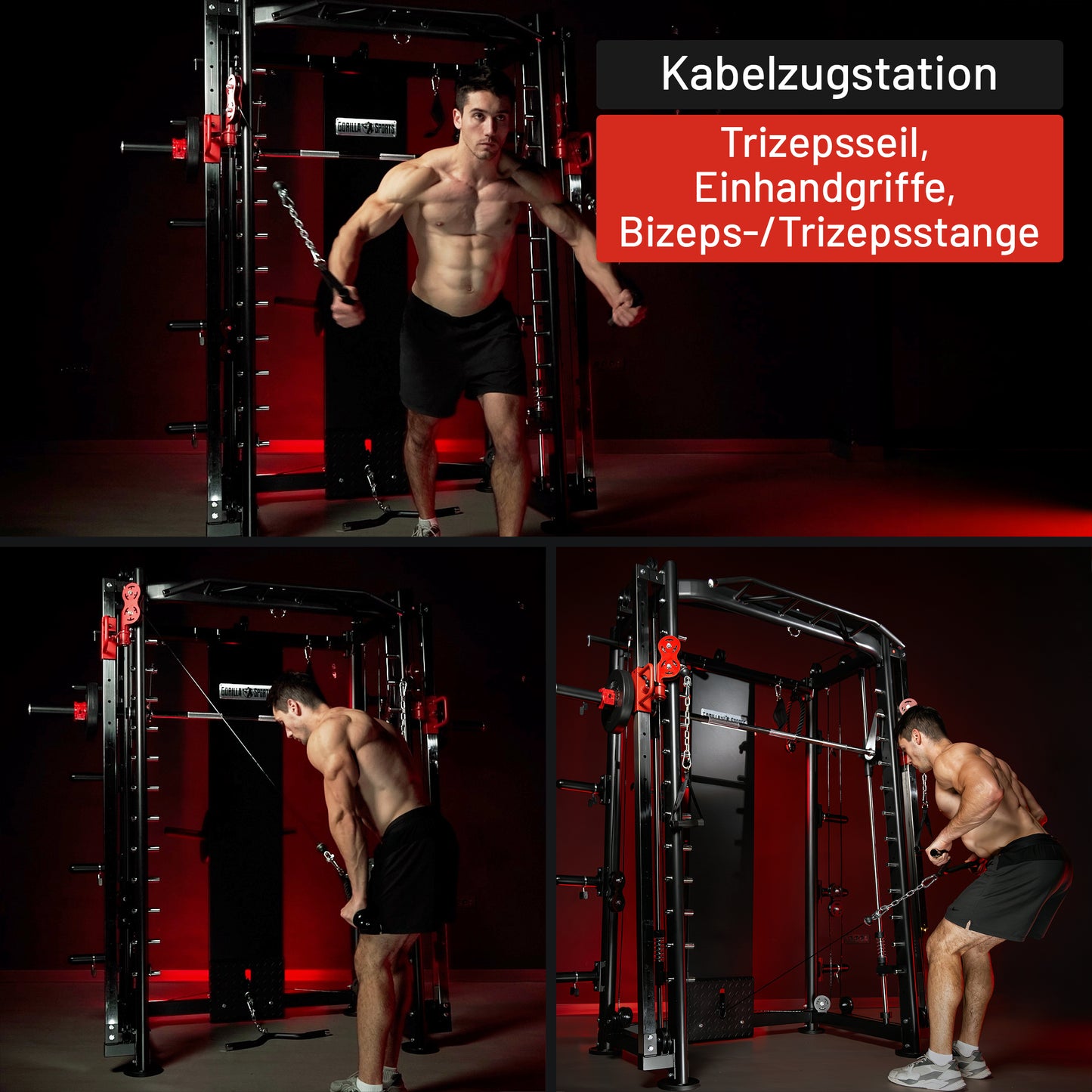 Smith Machine inkl, Klimmzugstange, Dipgriffen und Kabelzug