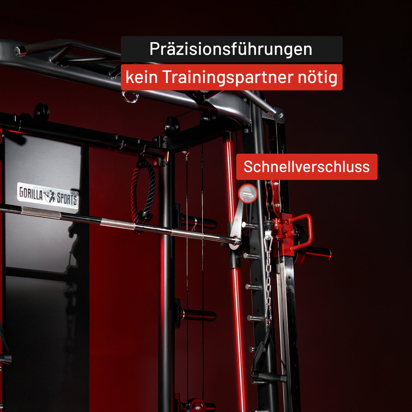 Smith Machine inkl, Klimmzugstange, Dipgriffen und Kabelzug