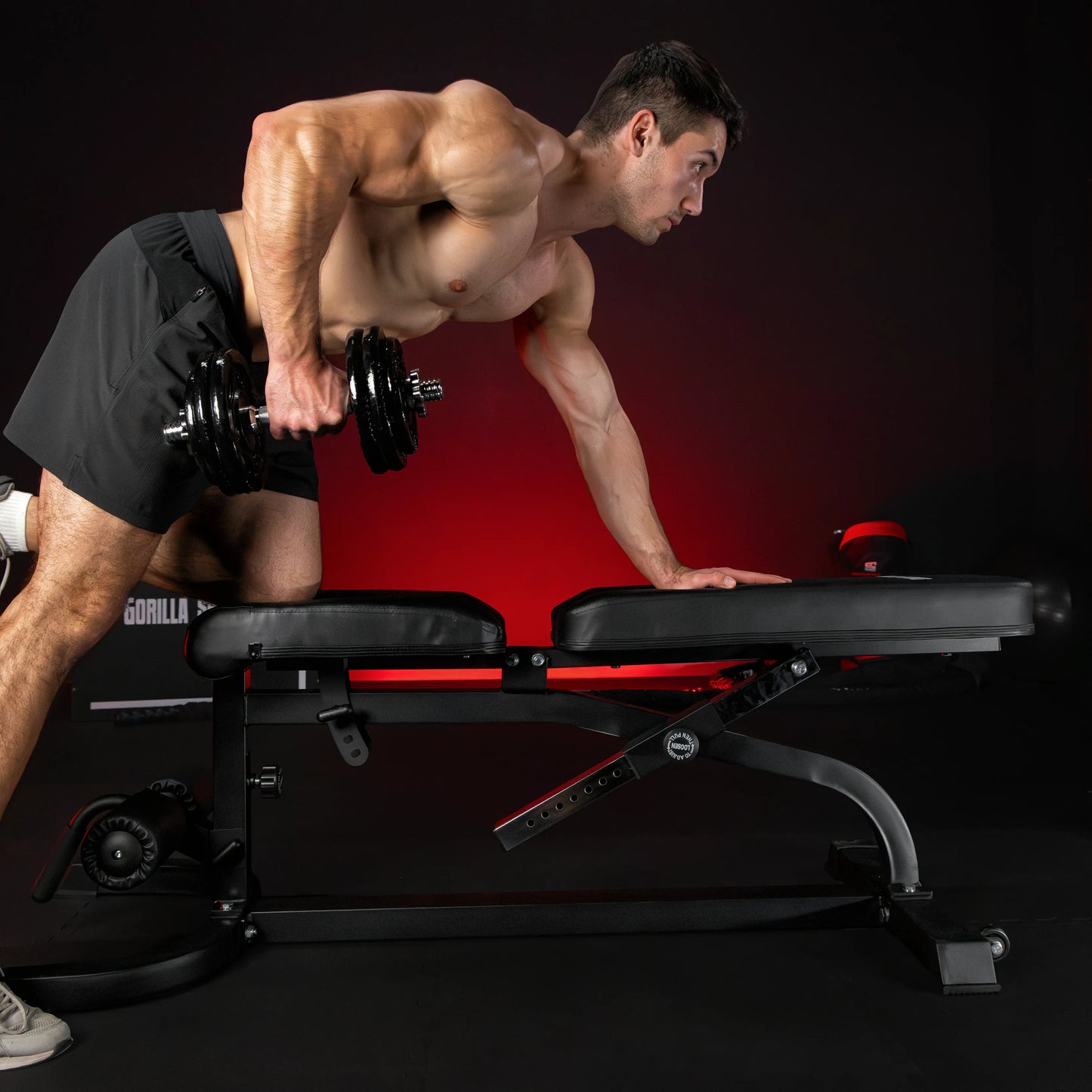 Verstellbare Schrägbank inkl. Beinstrecker und Curlpult - Gorilla Sports DE