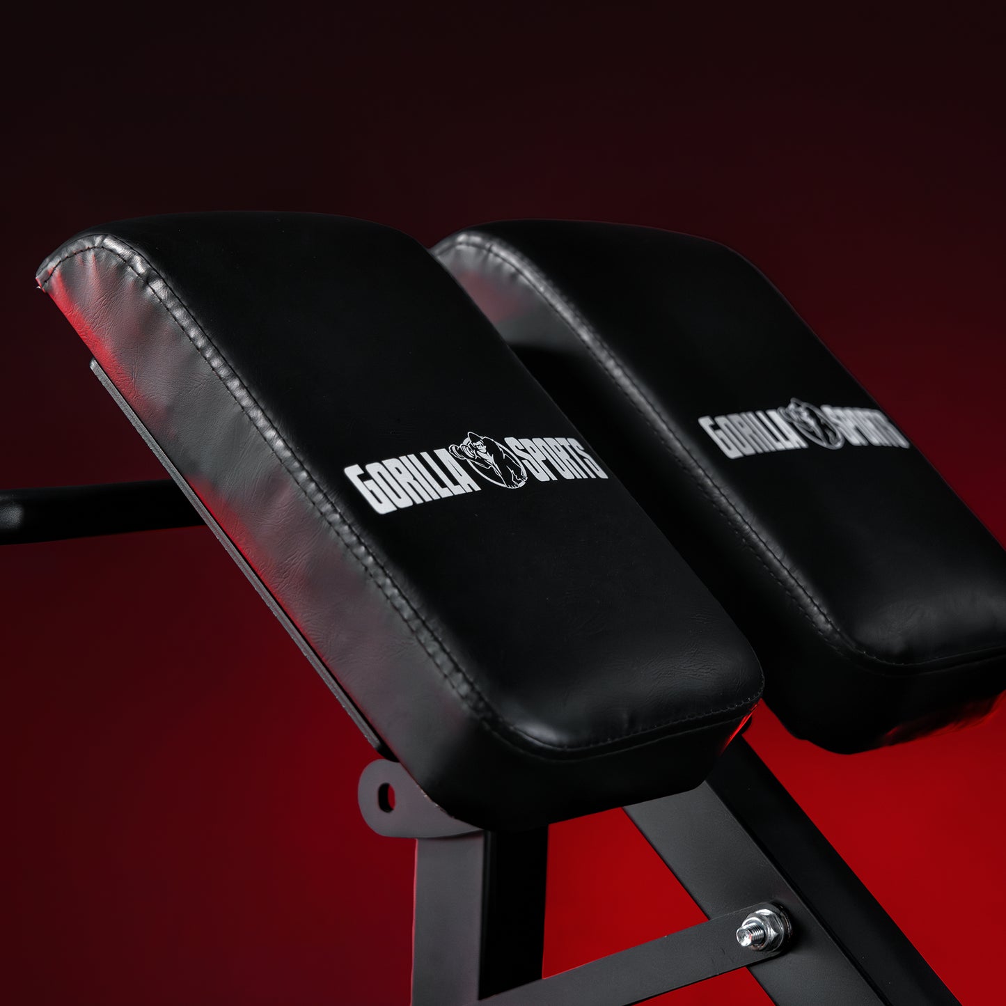 Glute Ham Raise Rückenstrecker verstellbar