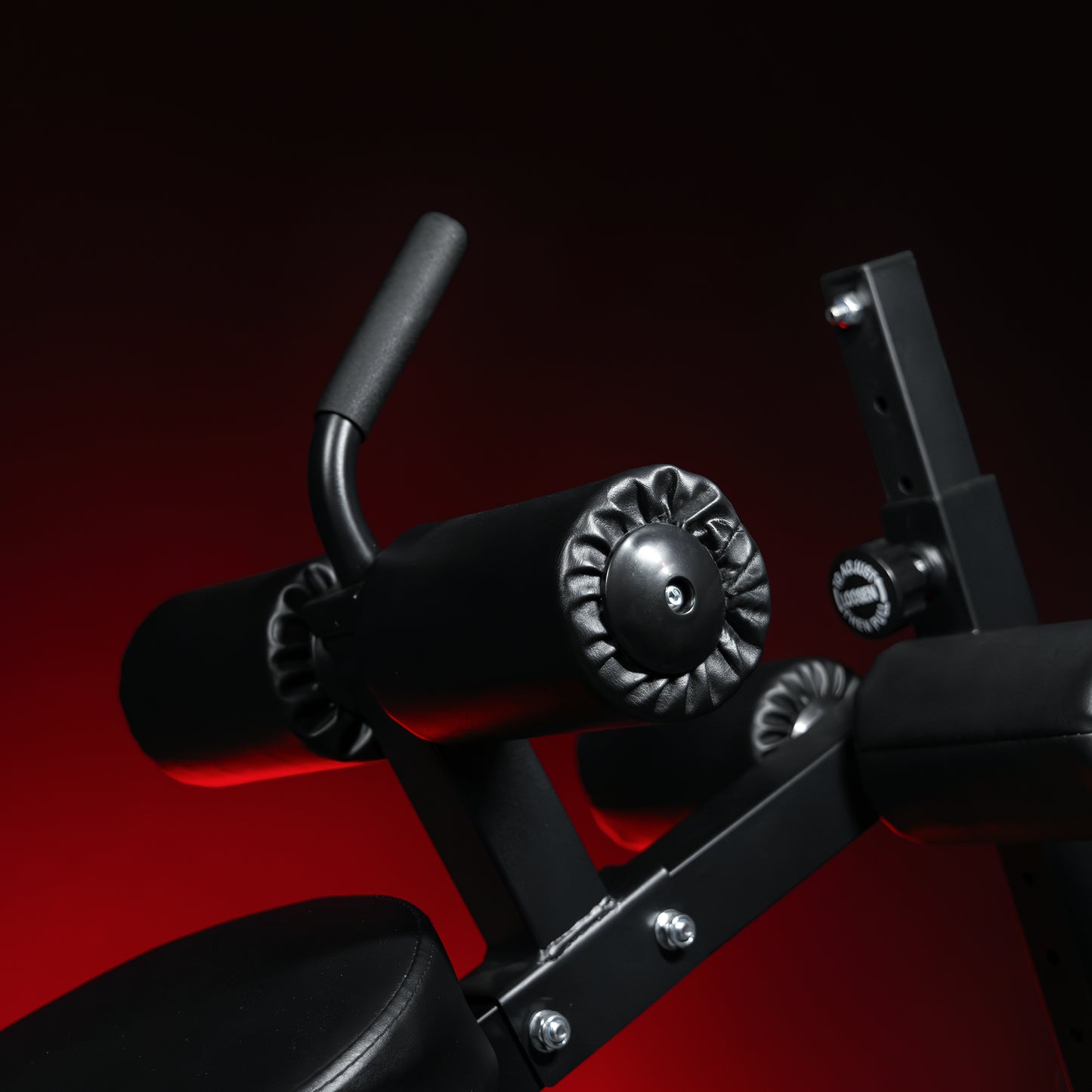 Sit Up Bank PRO verstellbar