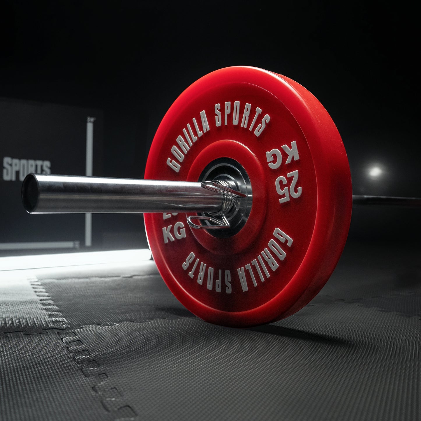 Bumper Plates Profi 50/51 mm 5-25 KG