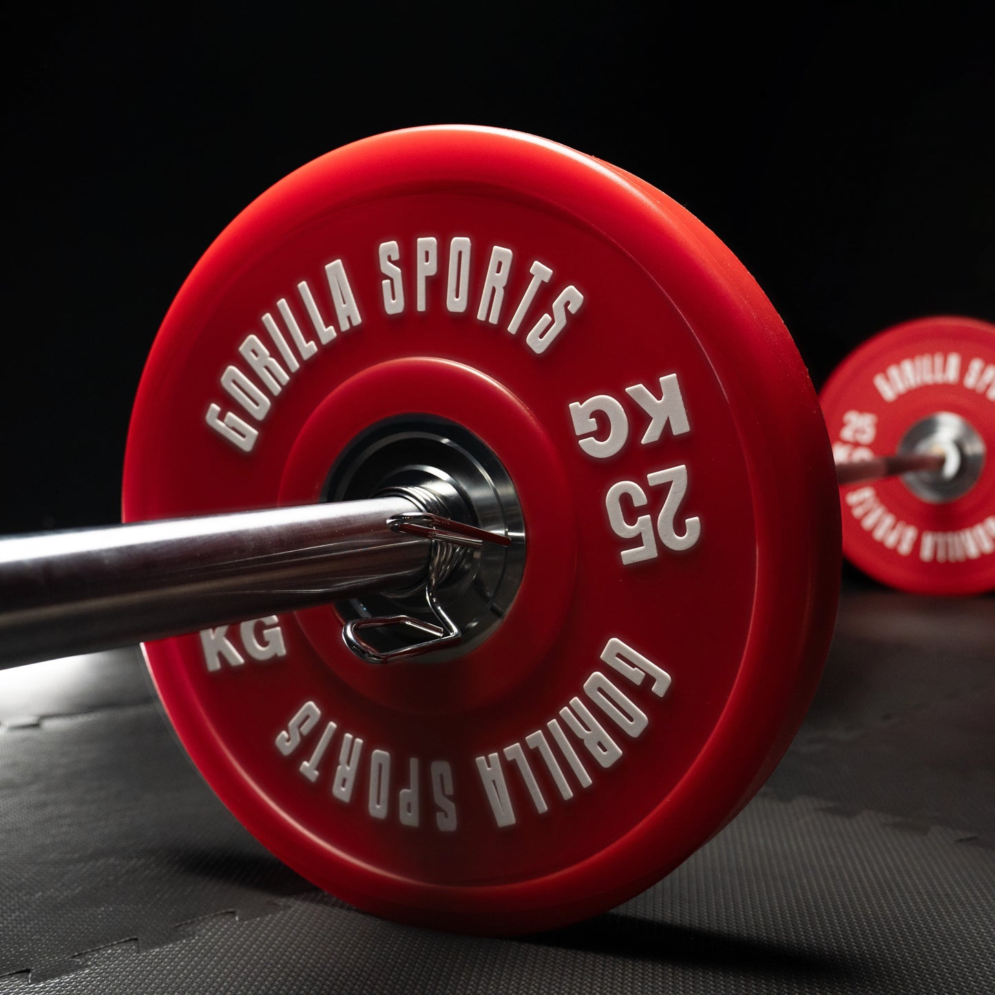 Bumper Plates Profi 50/51 mm 5-25 KG