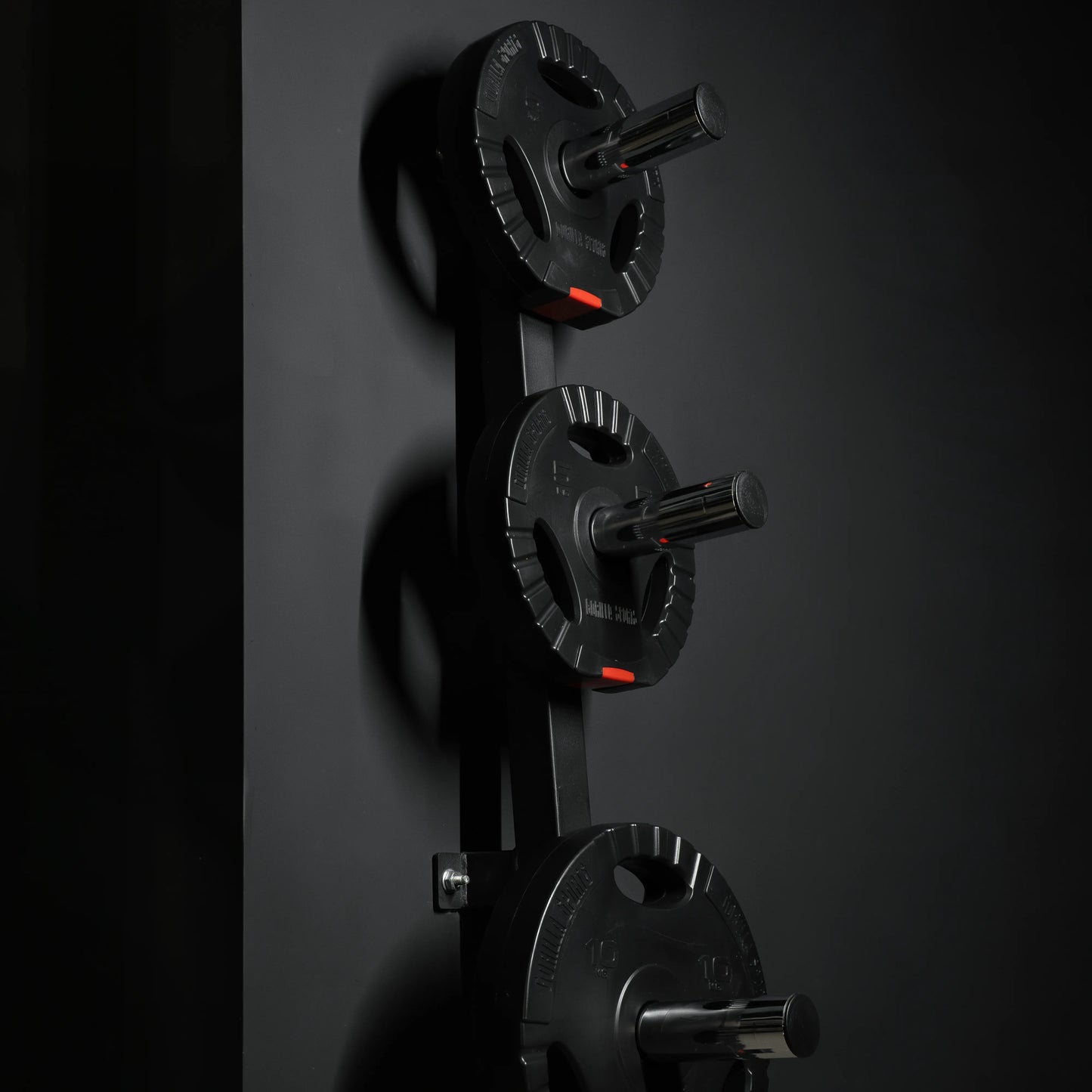 Hantelscheibenständer zur Wandbefestigung - Gorilla Sports DE