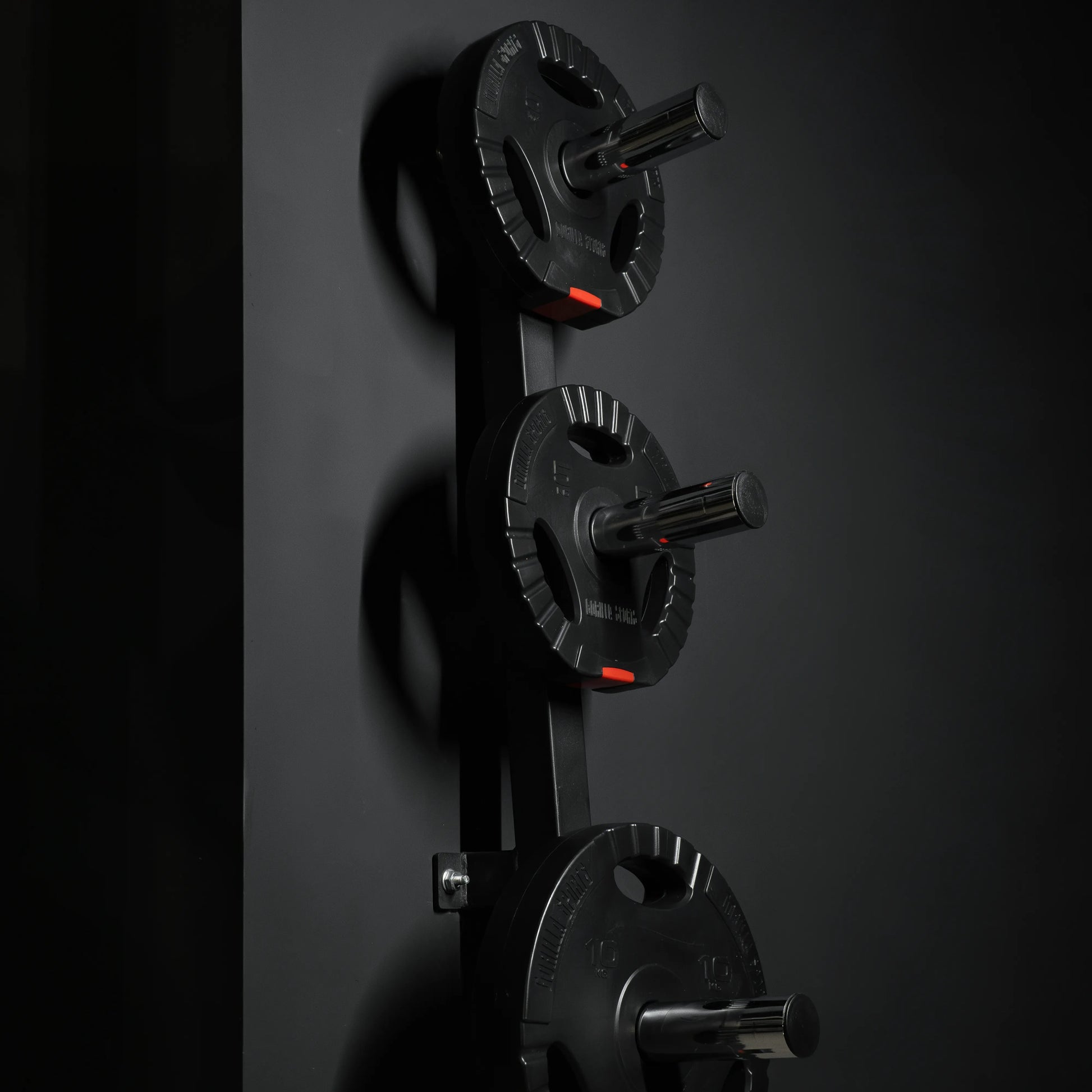 Hantelscheibenständer zur Wandbefestigung - Gorilla Sports DE