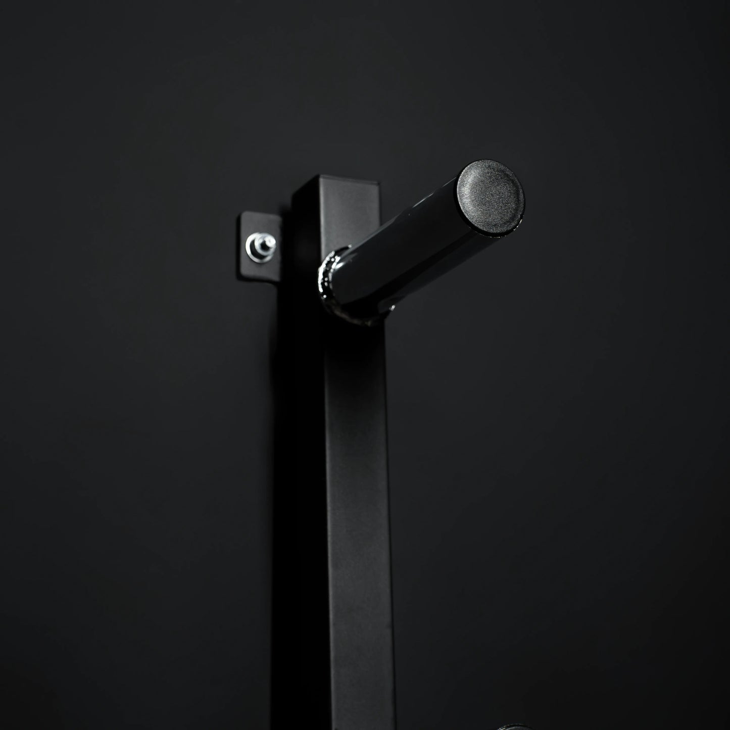 Hantelscheibenständer zur Wandbefestigung - Gorilla Sports DE