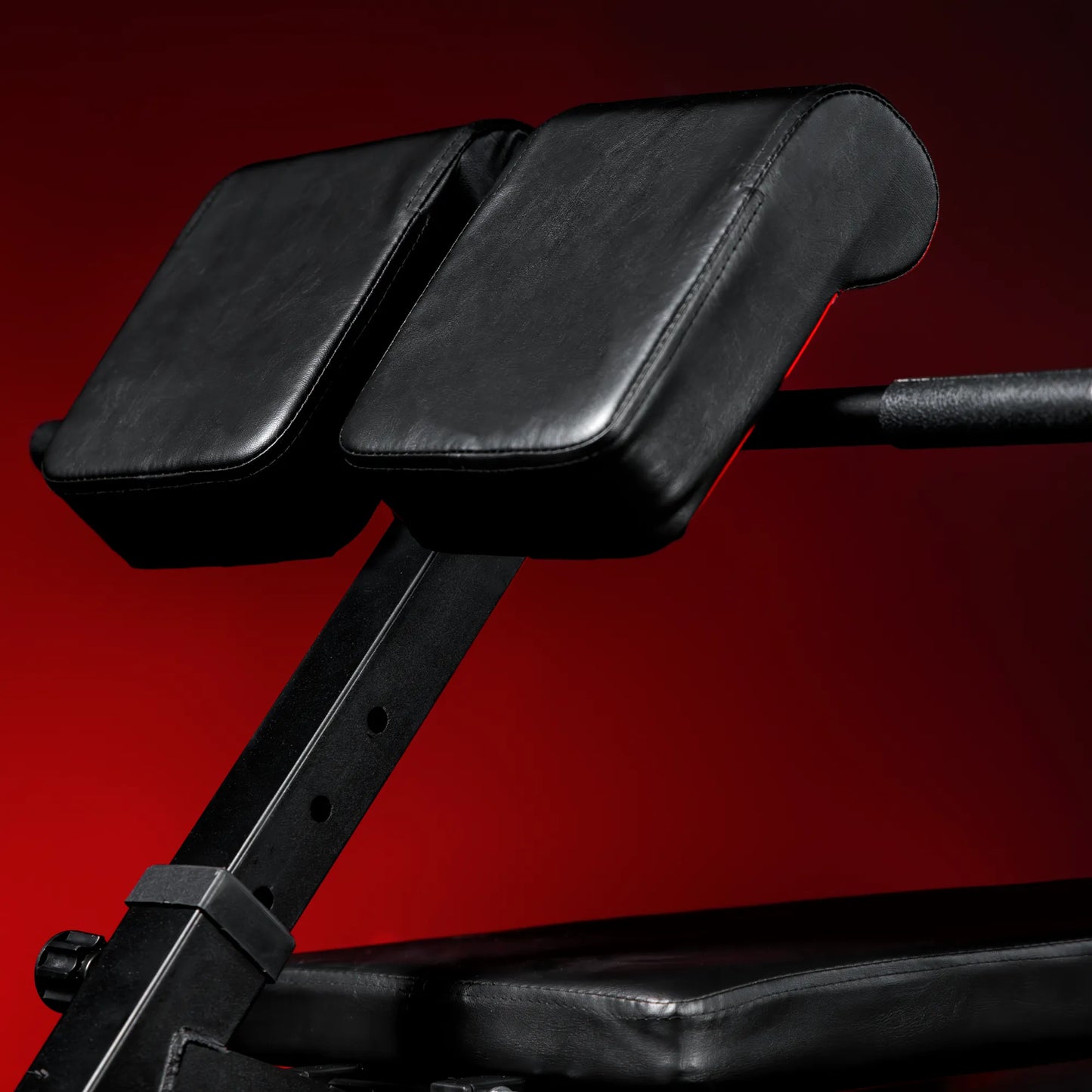 Hantelbank mit Hyperextension verstellbar