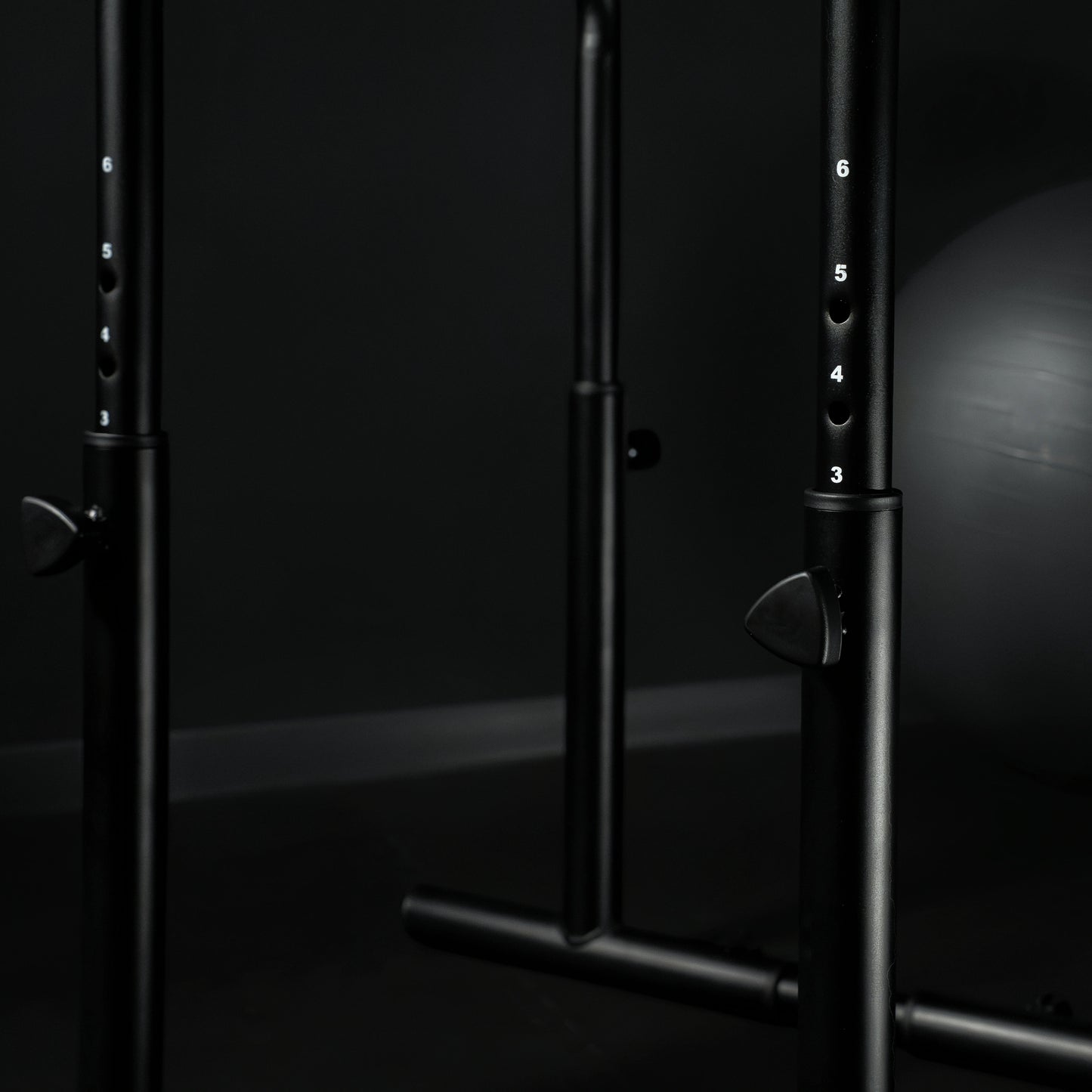 Dip Barren - Verstellbar - Gorilla Sports DE