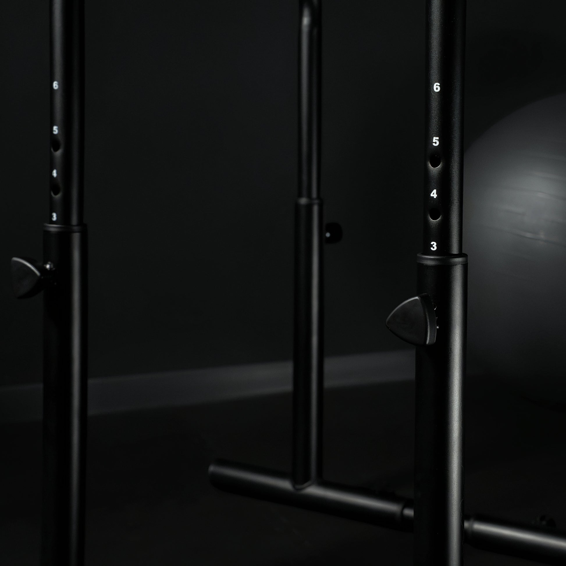 Dip Barren - Verstellbar - Gorilla Sports DE