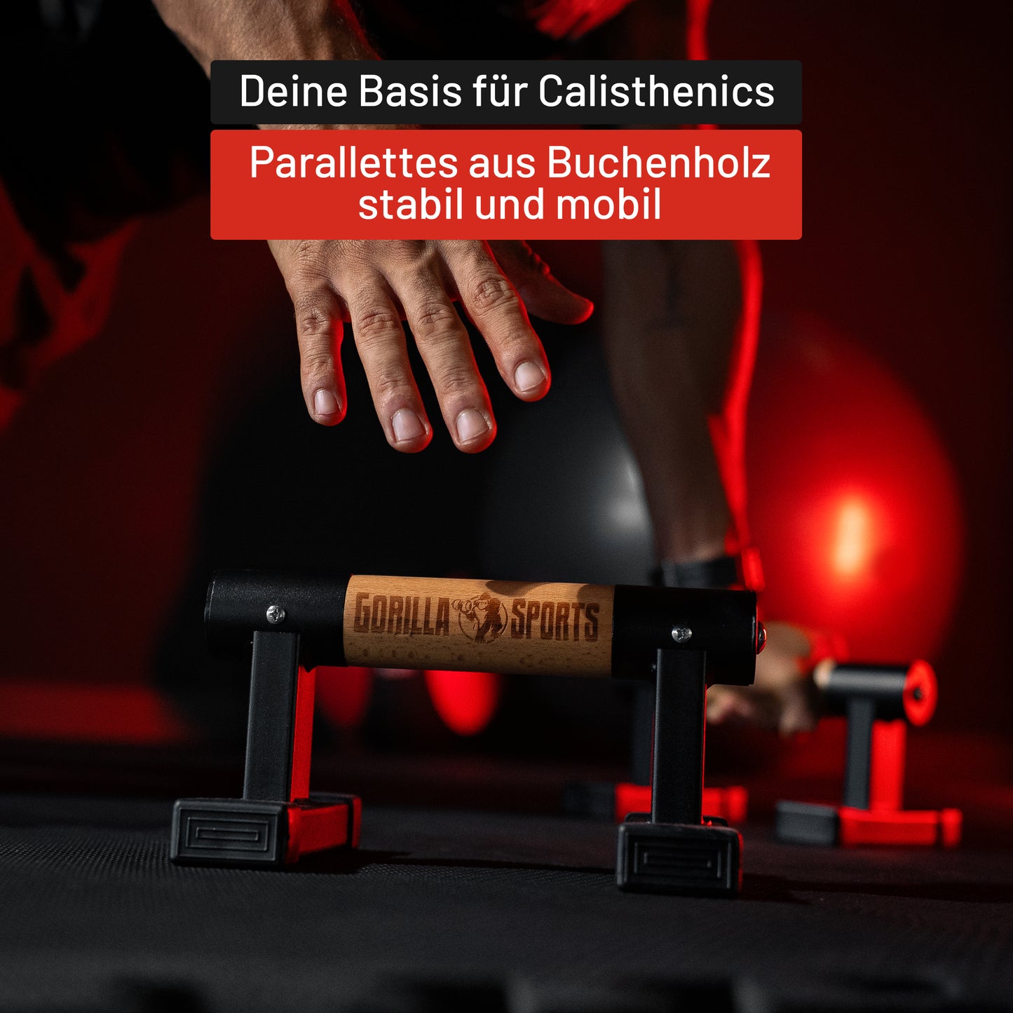 Liegestützgriffe 2er Set