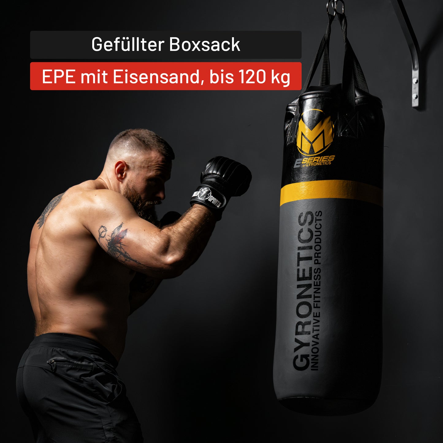 Boxsack E-Series 80 cm mit Klimmzugstange zur Wandbefestigung
