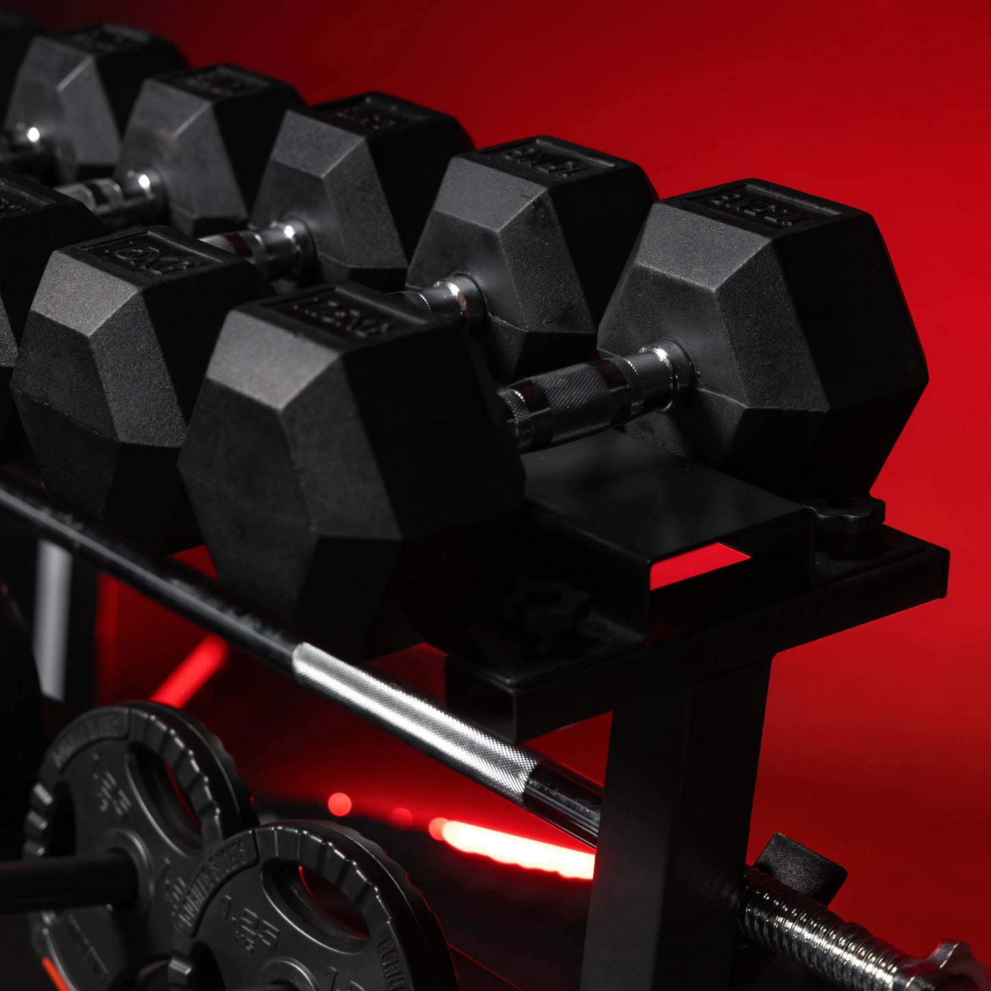 Hantelscheibenständer in Schwarz/Weiß/Silber - Gorilla Sports DE