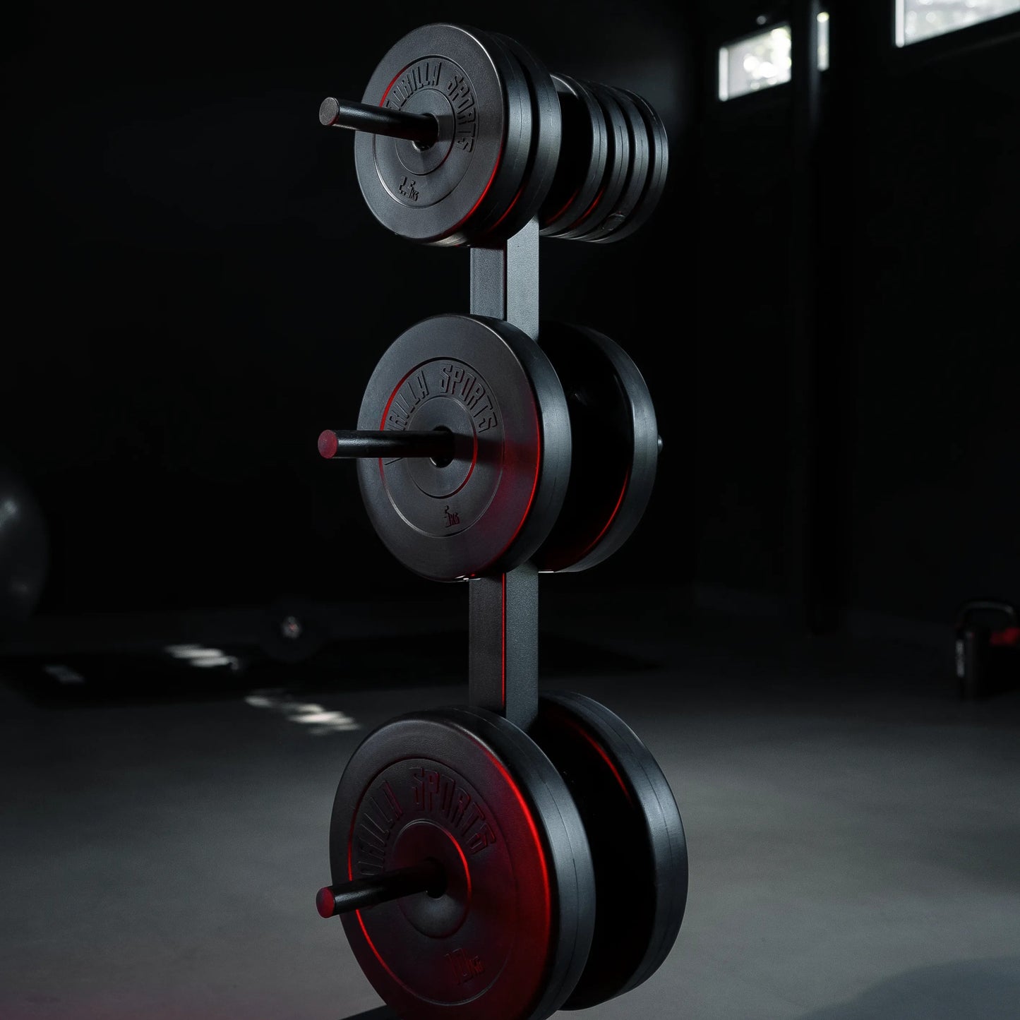 Hantelscheibenständer mit 3 Stangen 30/31 mm Schwarz/Weiß - Gorilla Sports DE