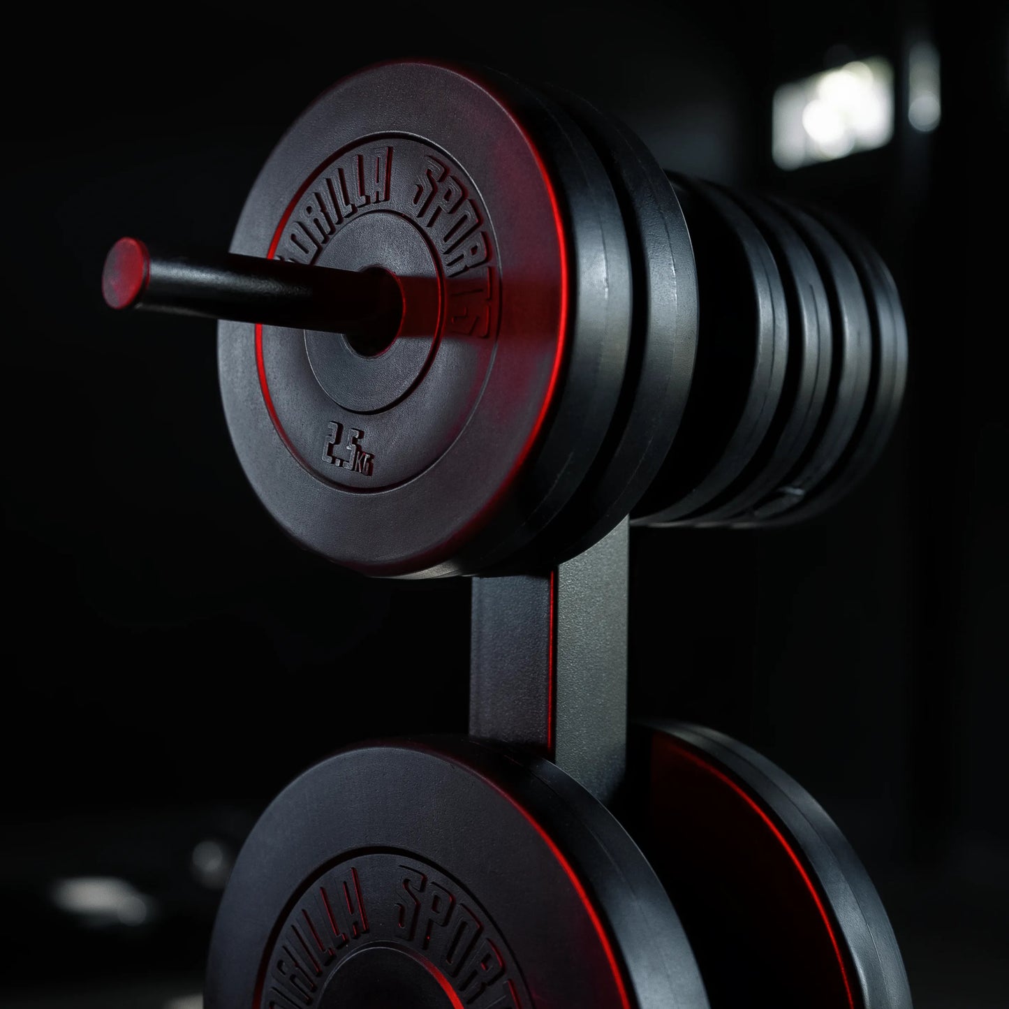 Hantelscheibe 30/31 mm Kunststoff 1,25-15 KG - Gorilla Sports DE