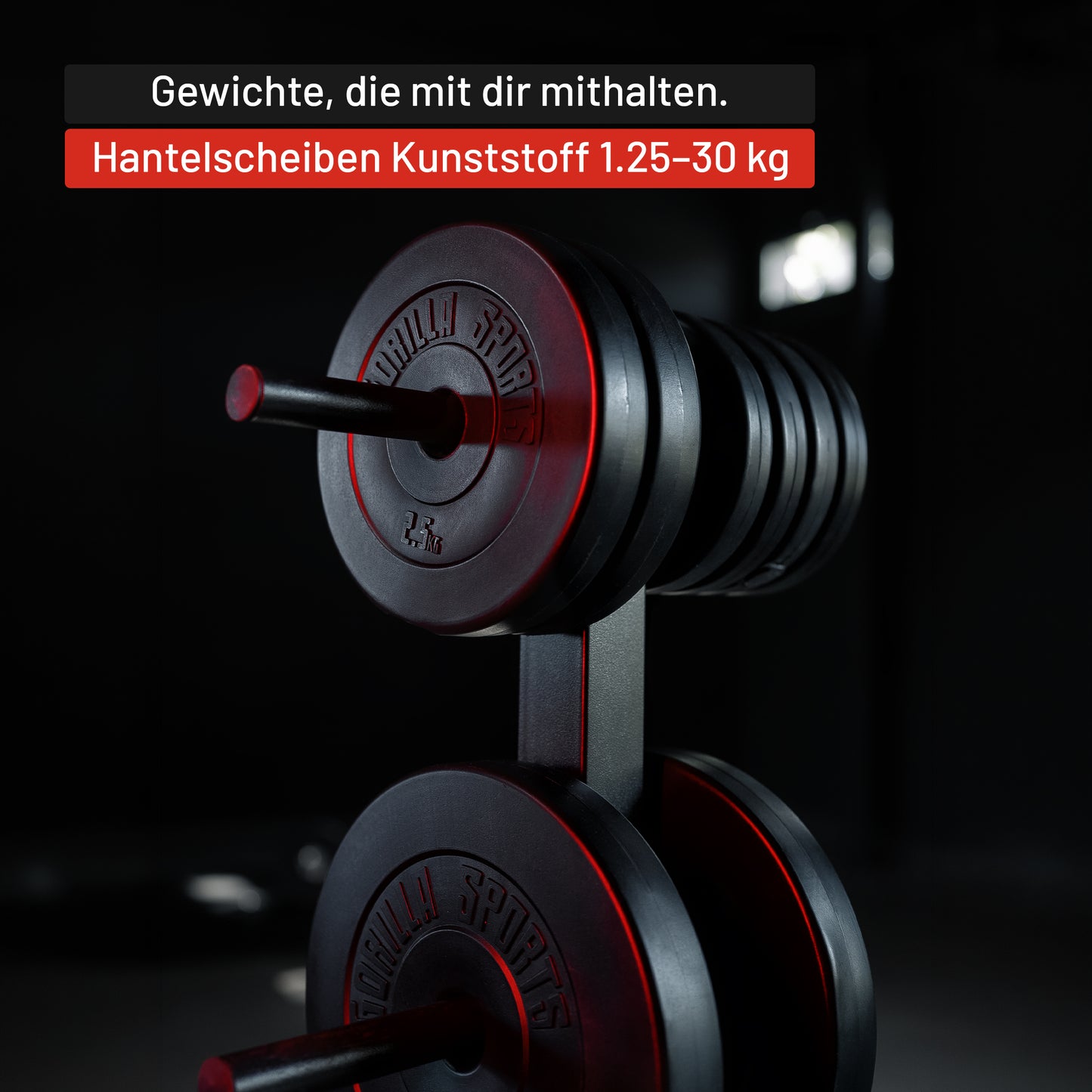 Hantelscheibe 30/31 mm Kunststoff 1,25-15 KG