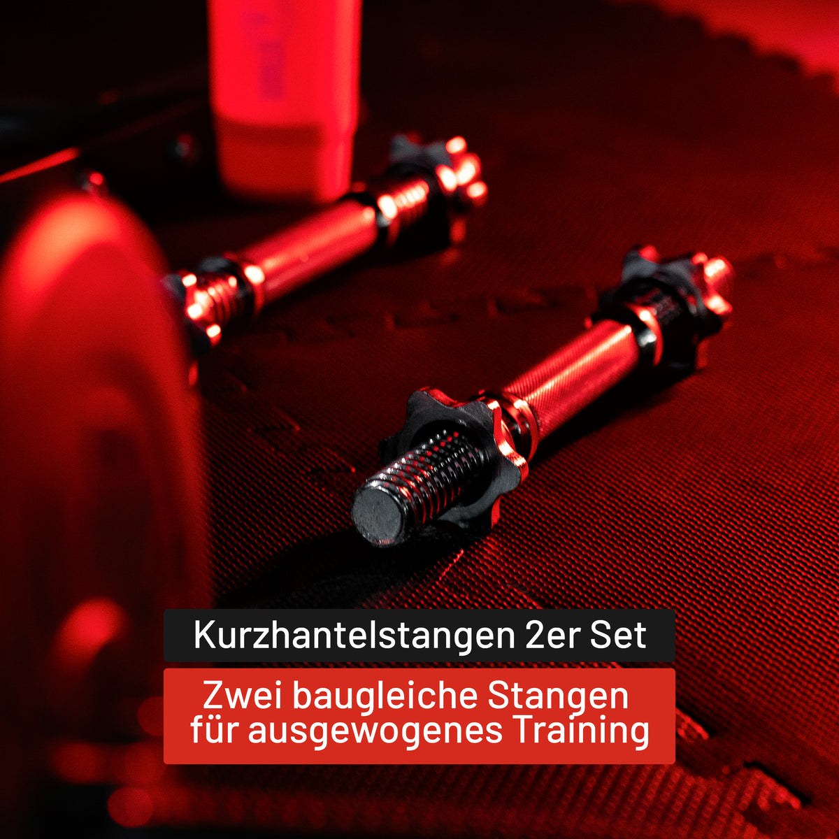 Kurzhantel 2er Set 35 cm mit Sternverschlüssen
