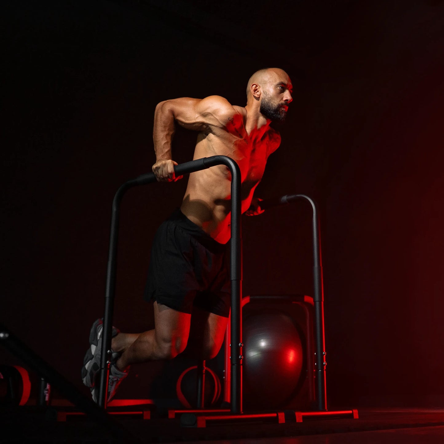 Push Up Stand Dip Barren Schwarz/Rot/Blau