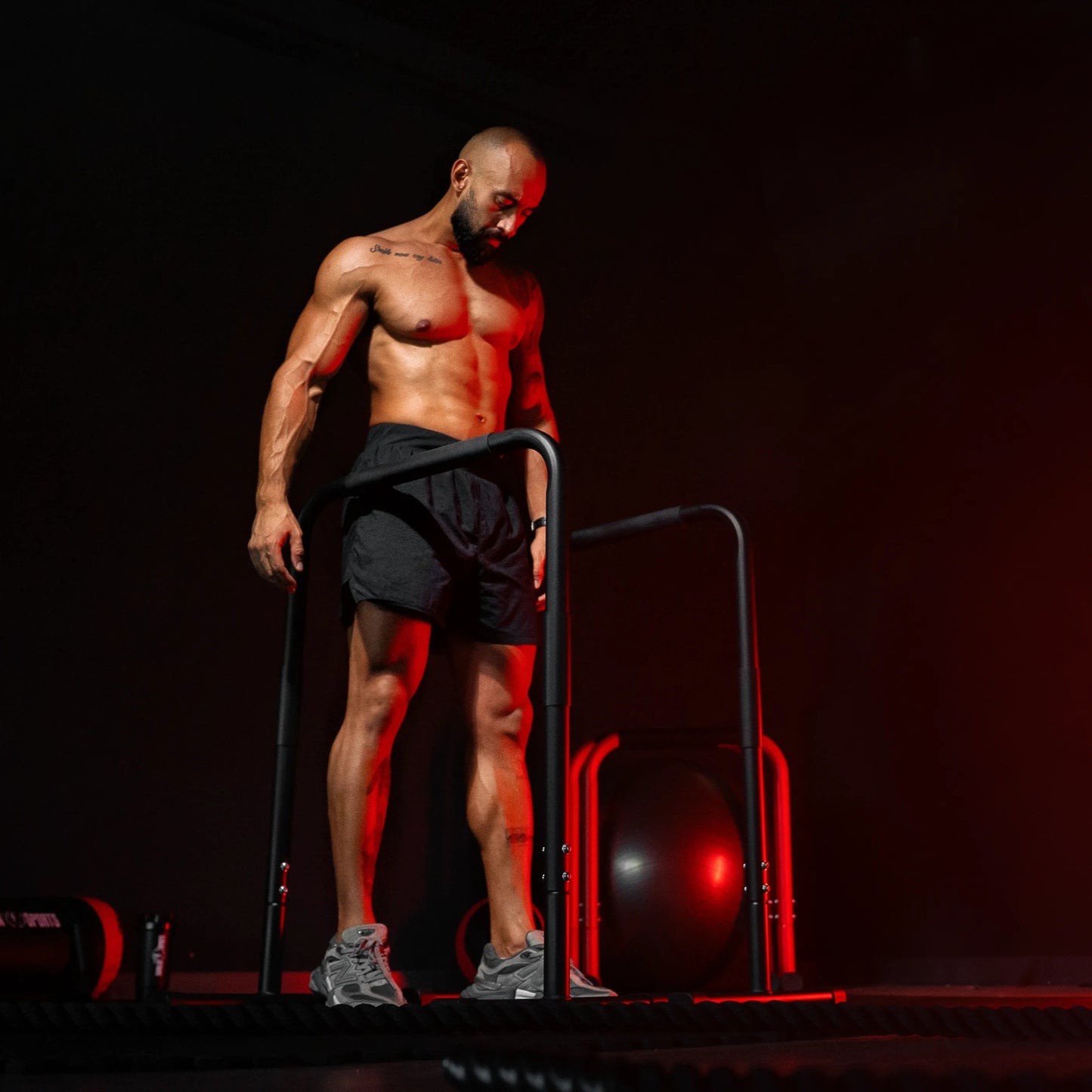 Push Up Stand Dip Barren Schwarz/Rot/Blau