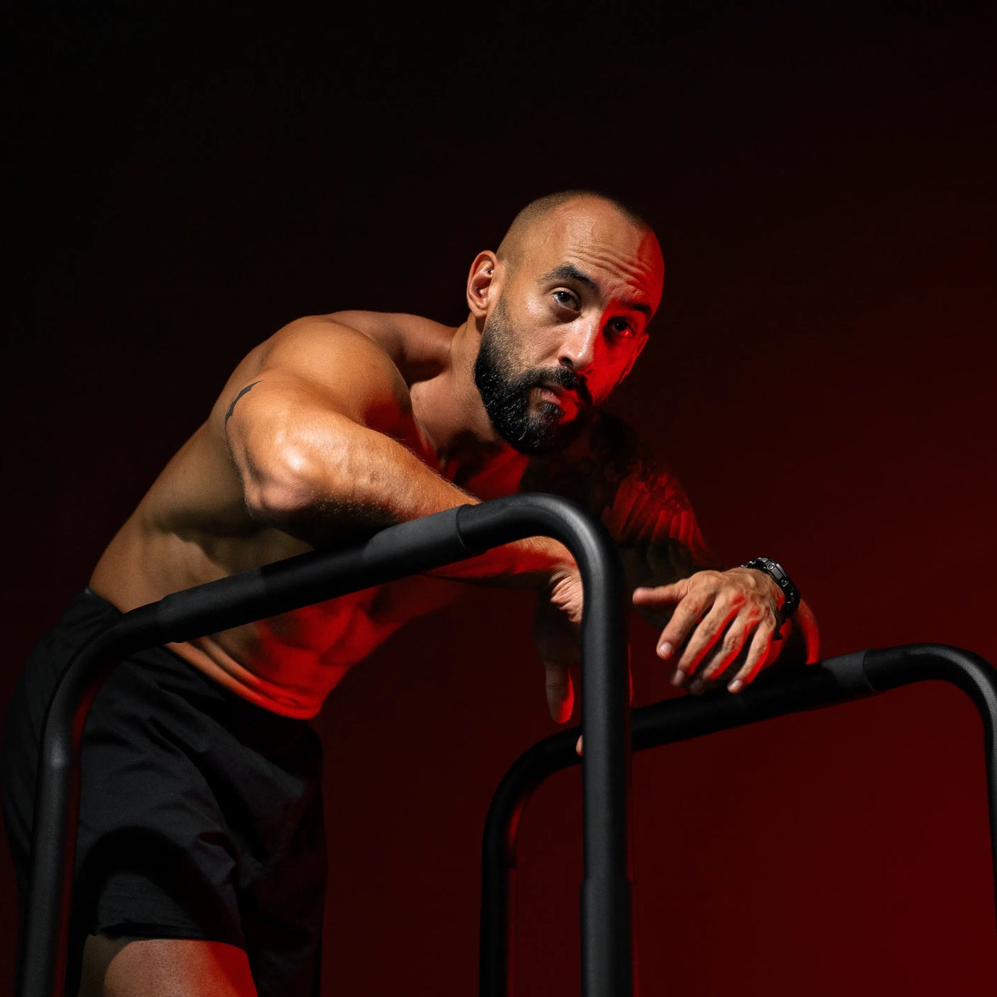 Push Up Stand Dip Barren Schwarz/Rot/Blau