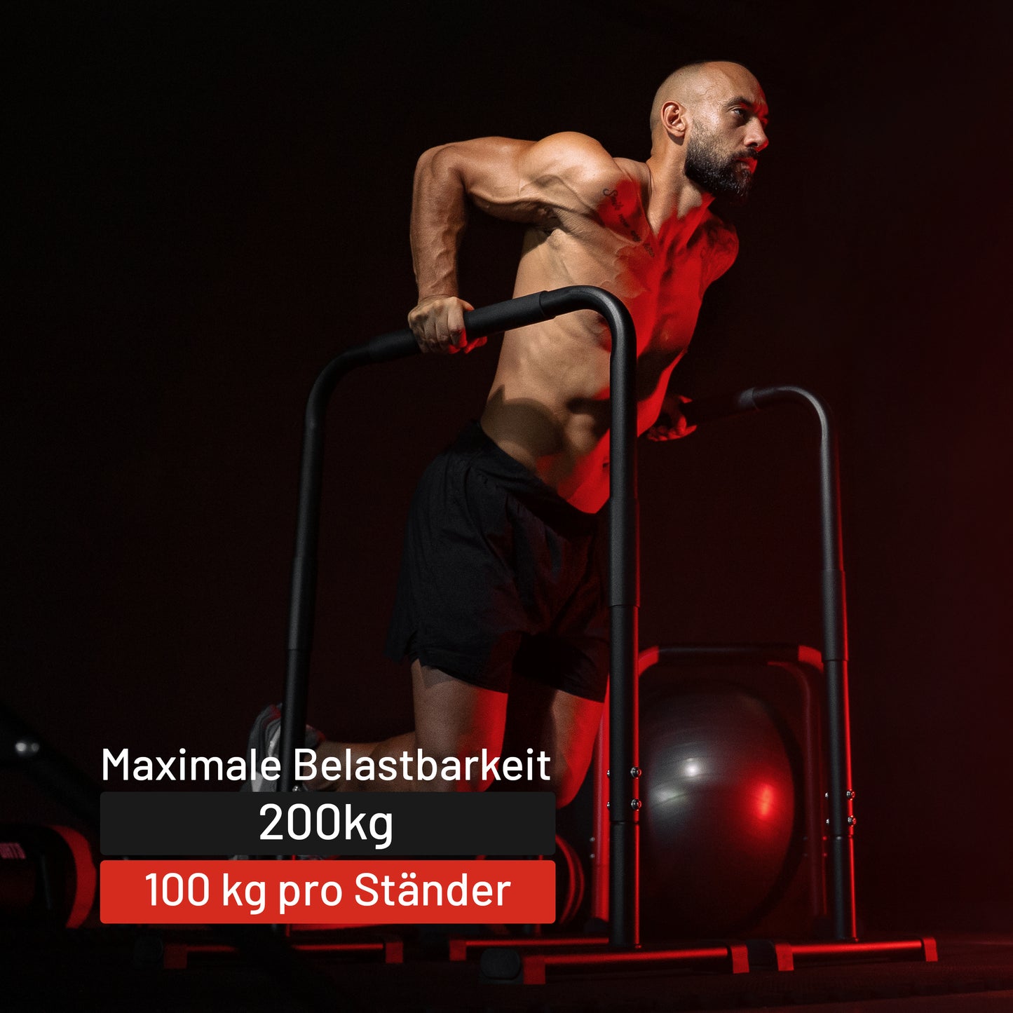 Push Up Stand Dip Barren Schwarz/Rot/Blau