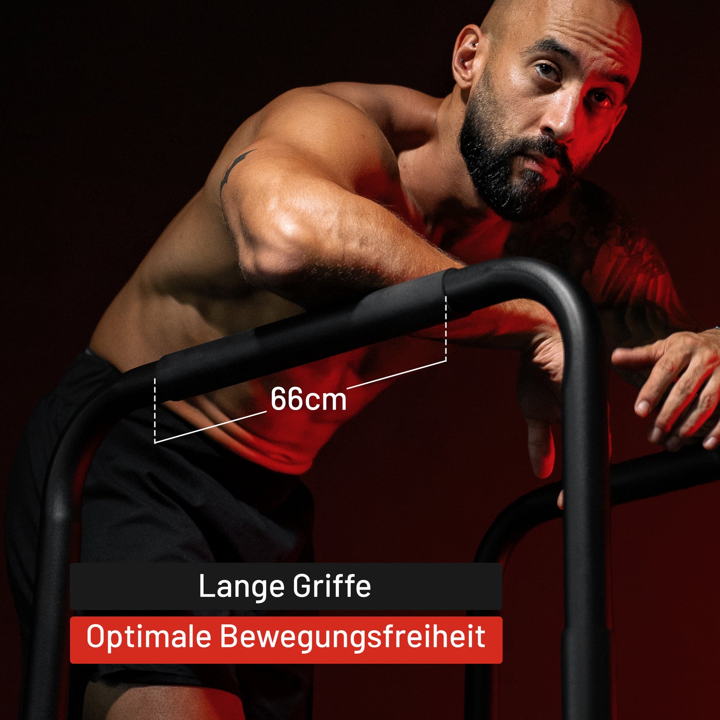 Push Up Stand Dip Barren Schwarz/Rot/Blau
