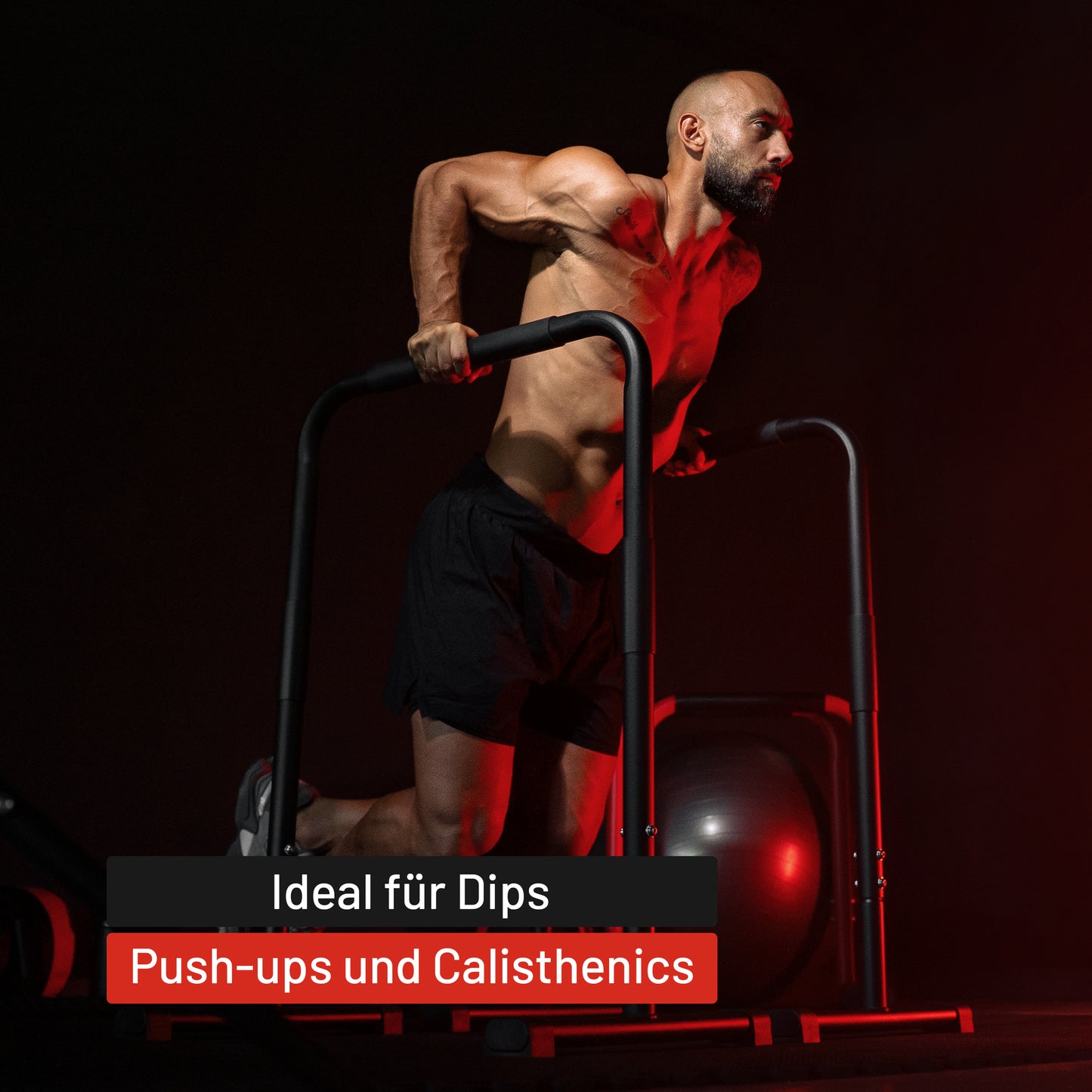 Push Up Stand Dip Barren Schwarz/Rot/Blau