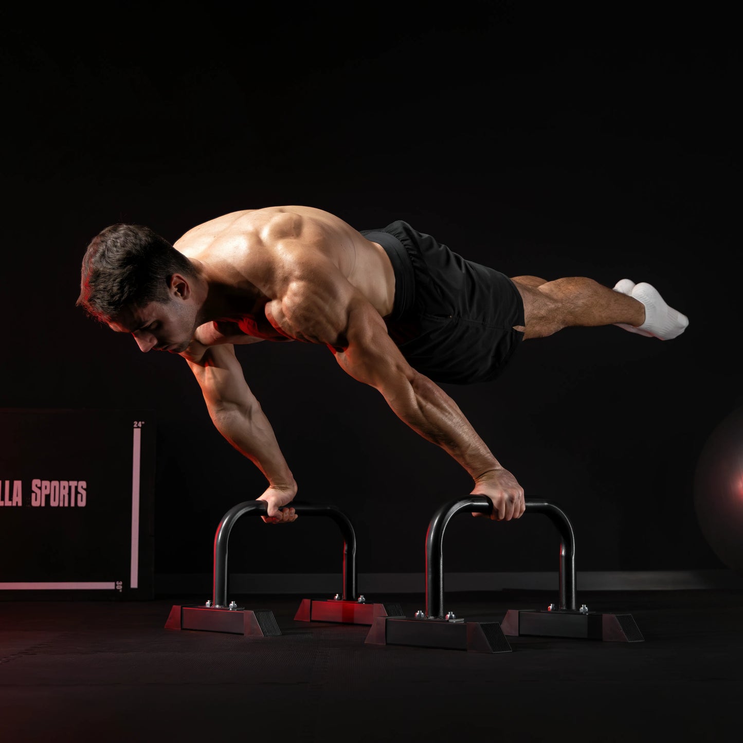 Push Up Parallettes Schwarz/Blau/Rot - Gorilla Sports DE