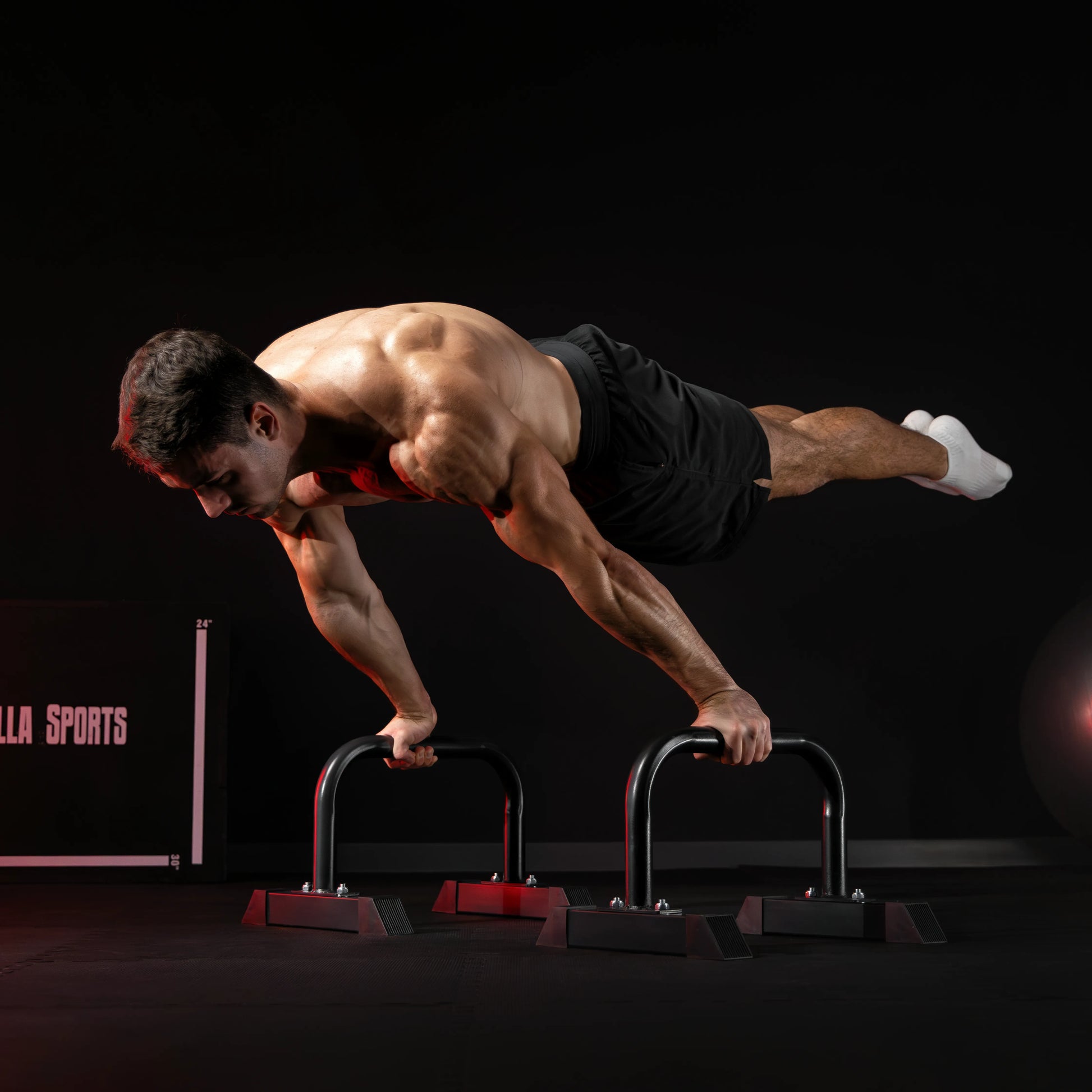 Push Up Parallettes Schwarz/Blau/Rot - Gorilla Sports DE
